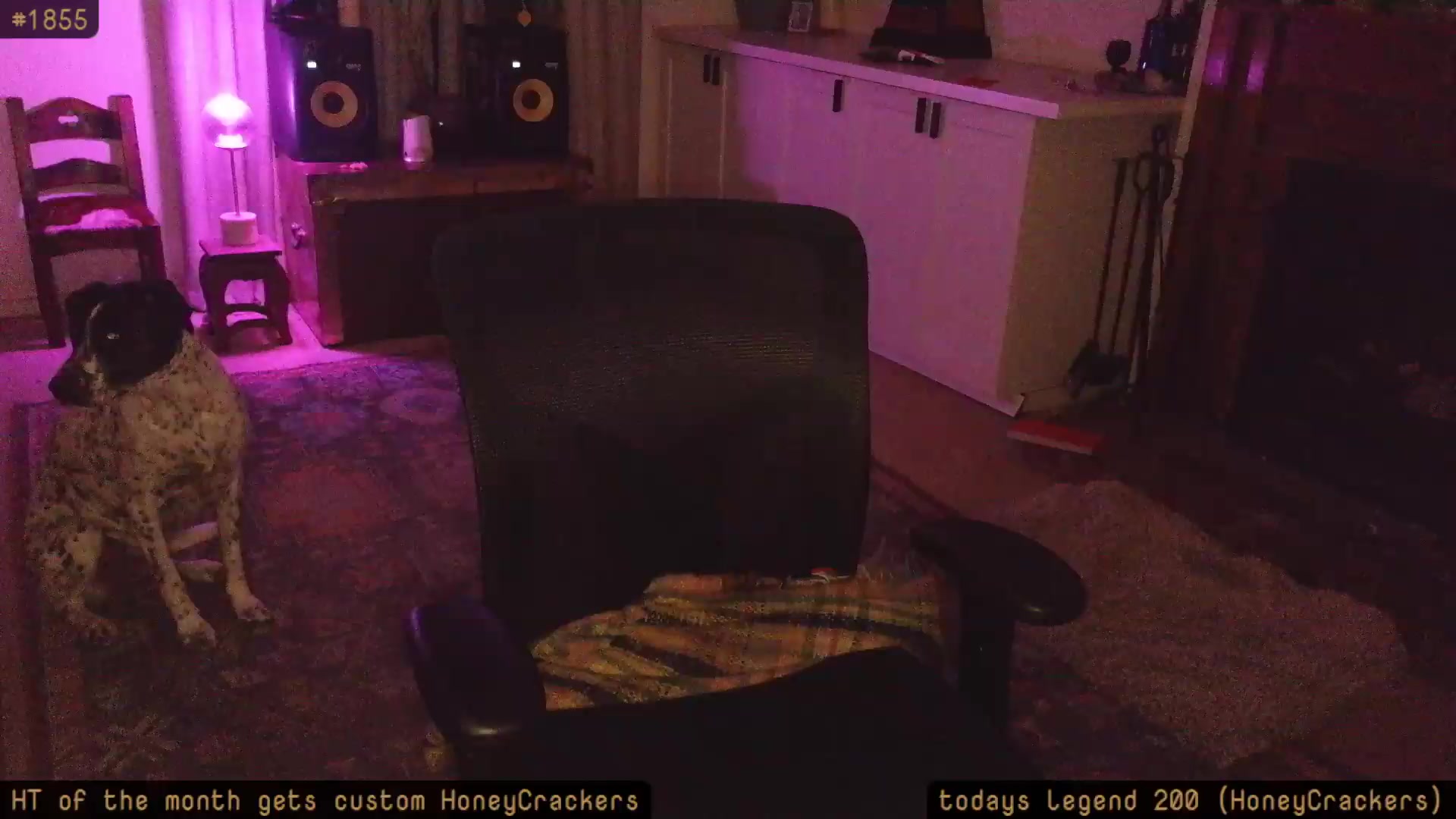 Gallery image thumbnail from HoneyTits_'s myfreecams stream on, 08/03/2026, 09:00 image 16 of 20