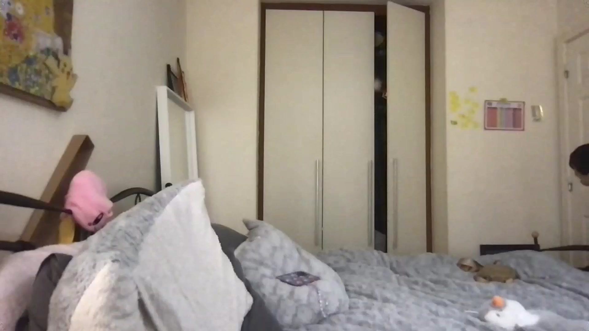 Gallery image thumbnail from Honey_Cat444's myfreecams stream on, 06/07/2024, 17:39 image 12 of 20