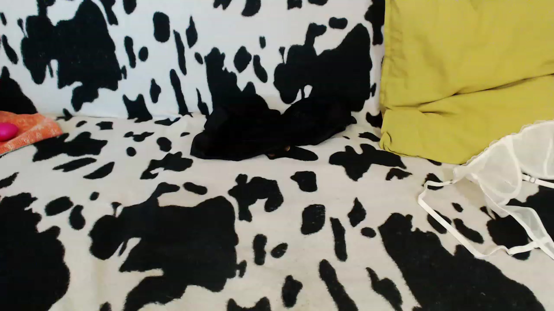 Gallery image thumbnail from Honey_Lolo's myfreecams stream on, 03/21/2023, 05:47 image 11 of 20