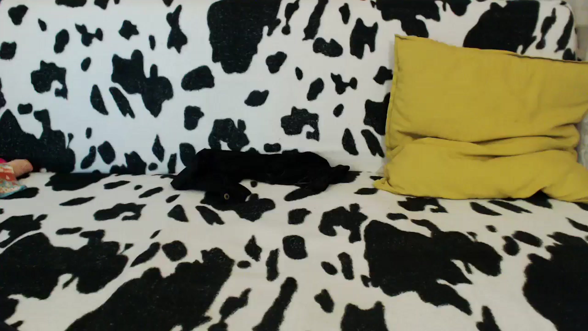 Gallery image thumbnail from Honey_Lolo's myfreecams stream on, 02/26/2024, 06:19 image 15 of 20