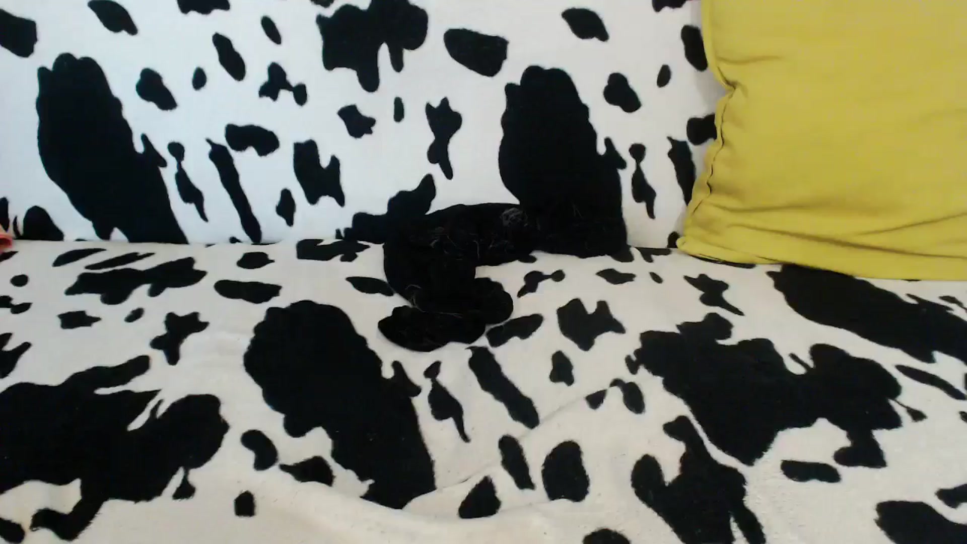 Gallery image thumbnail from Honey_Lolo's myfreecams stream on, 06/27/2024, 06:06 image 8 of 20