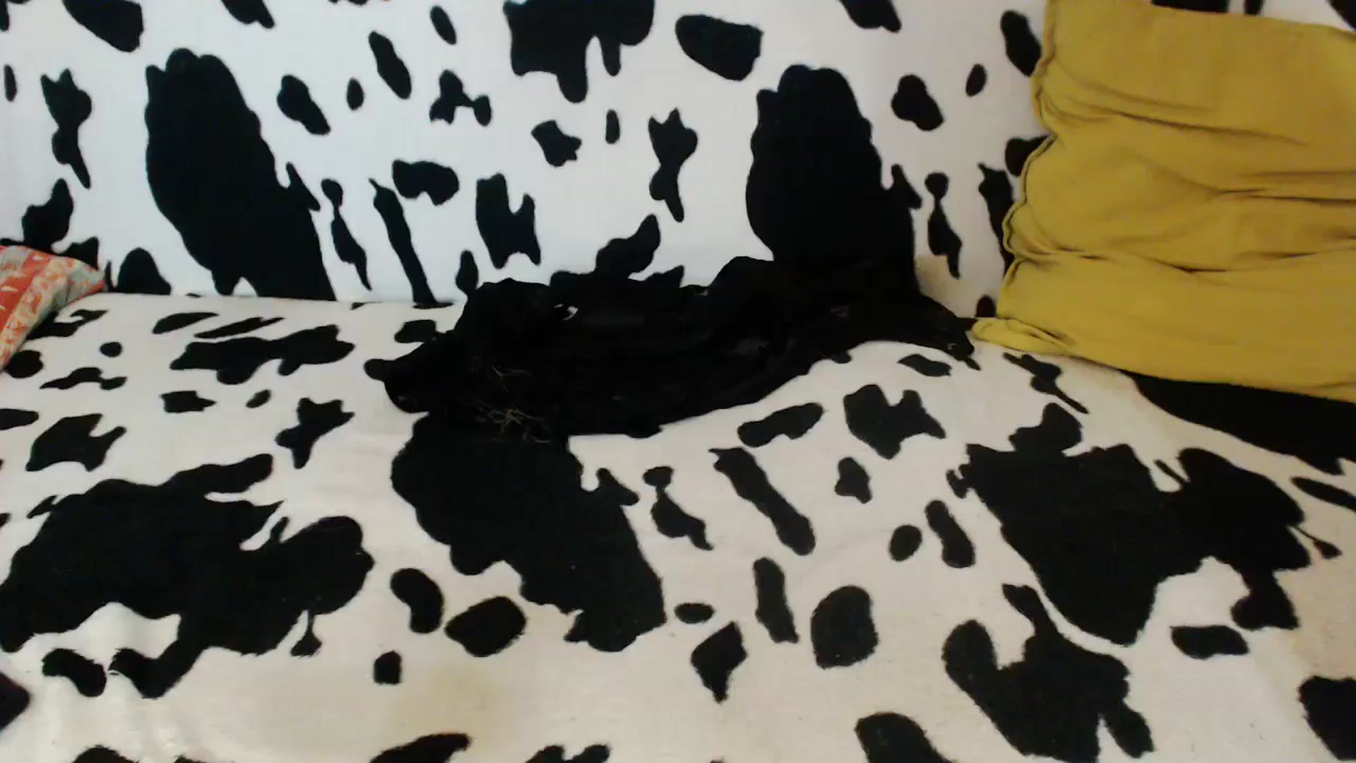 Gallery image thumbnail from Honey_Lolo's myfreecams stream on, 07/08/2024, 05:21 image 13 of 20