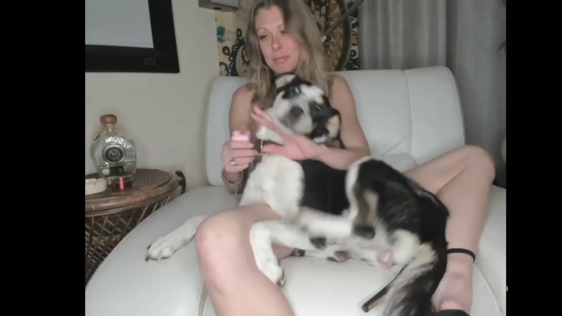 Gallery image thumbnail from Honey_Sukle's myfreecams stream on, 12/20/2022, 03:25 image 6 of 20