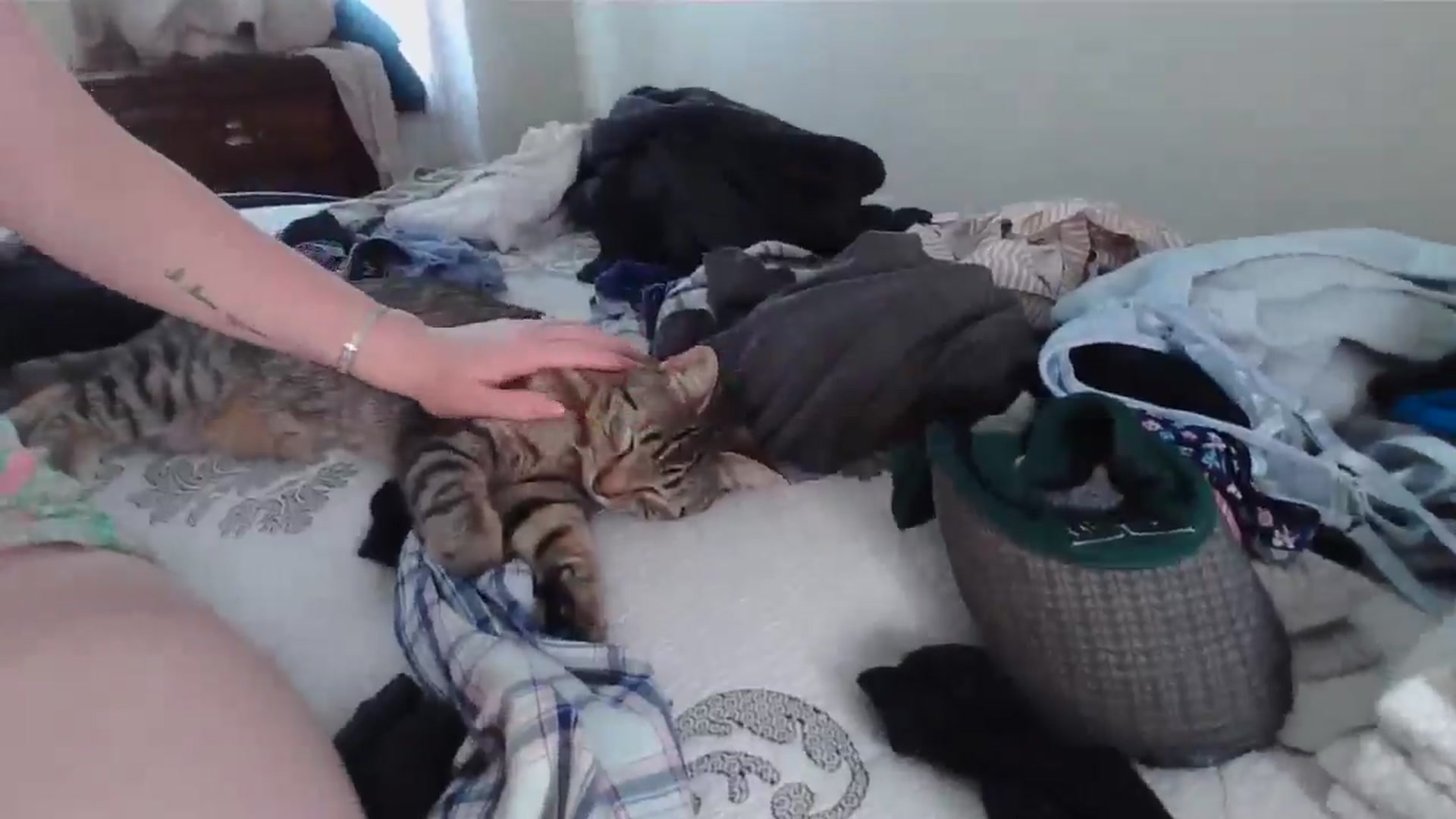 Gallery image thumbnail from Honeyandroses's myfreecams stream on, 06/22/2024, 20:51 image 5 of 20