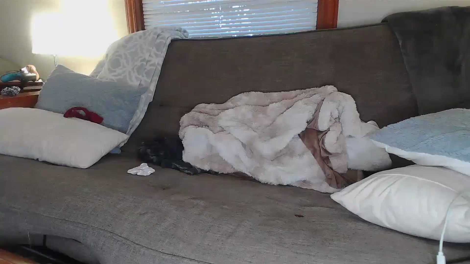 Gallery image thumbnail from Honeyandroses's myfreecams stream on, 06/26/2024, 24:46 image 12 of 20