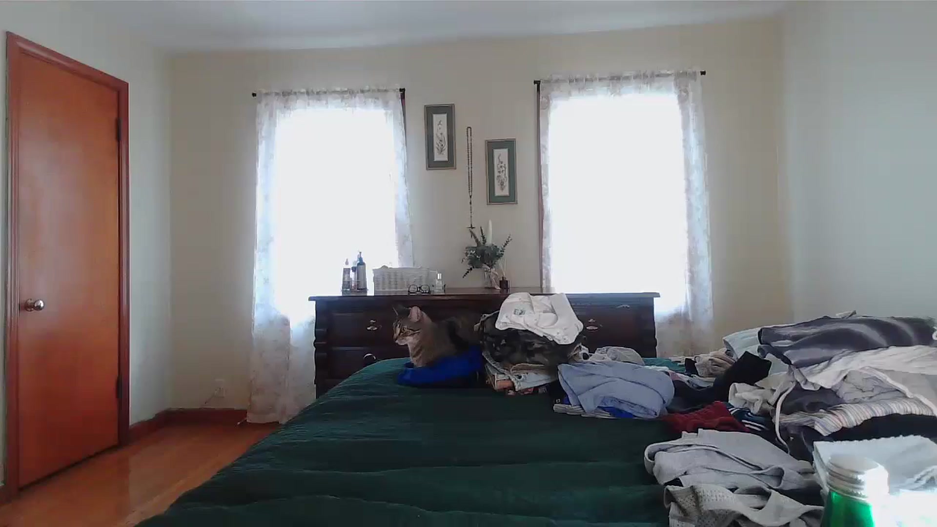 Gallery image thumbnail from Honeyandroses's myfreecams stream on, 07/04/2024, 21:07 image 10 of 20