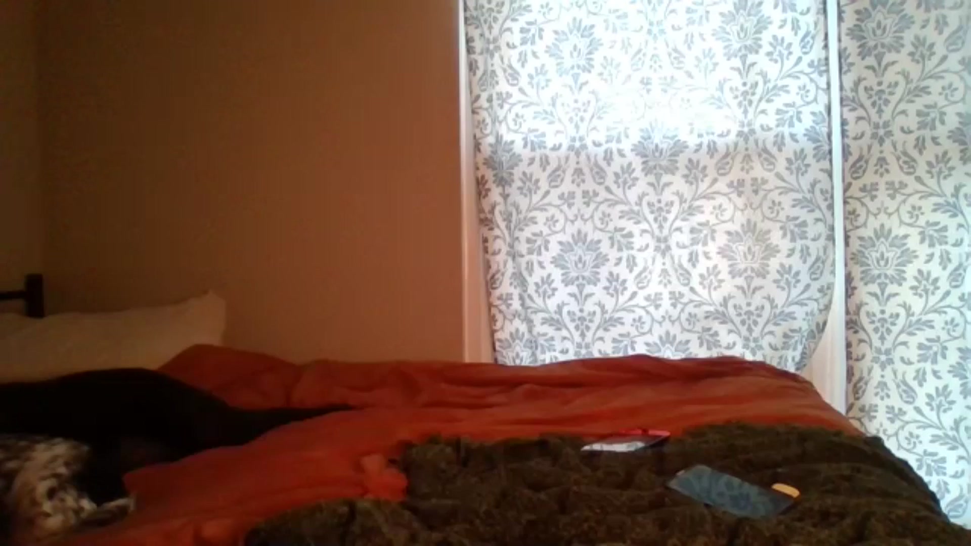Gallery image thumbnail from Honeymuff0's myfreecams stream on, 11/13/2024, 12:54 image 13 of 20