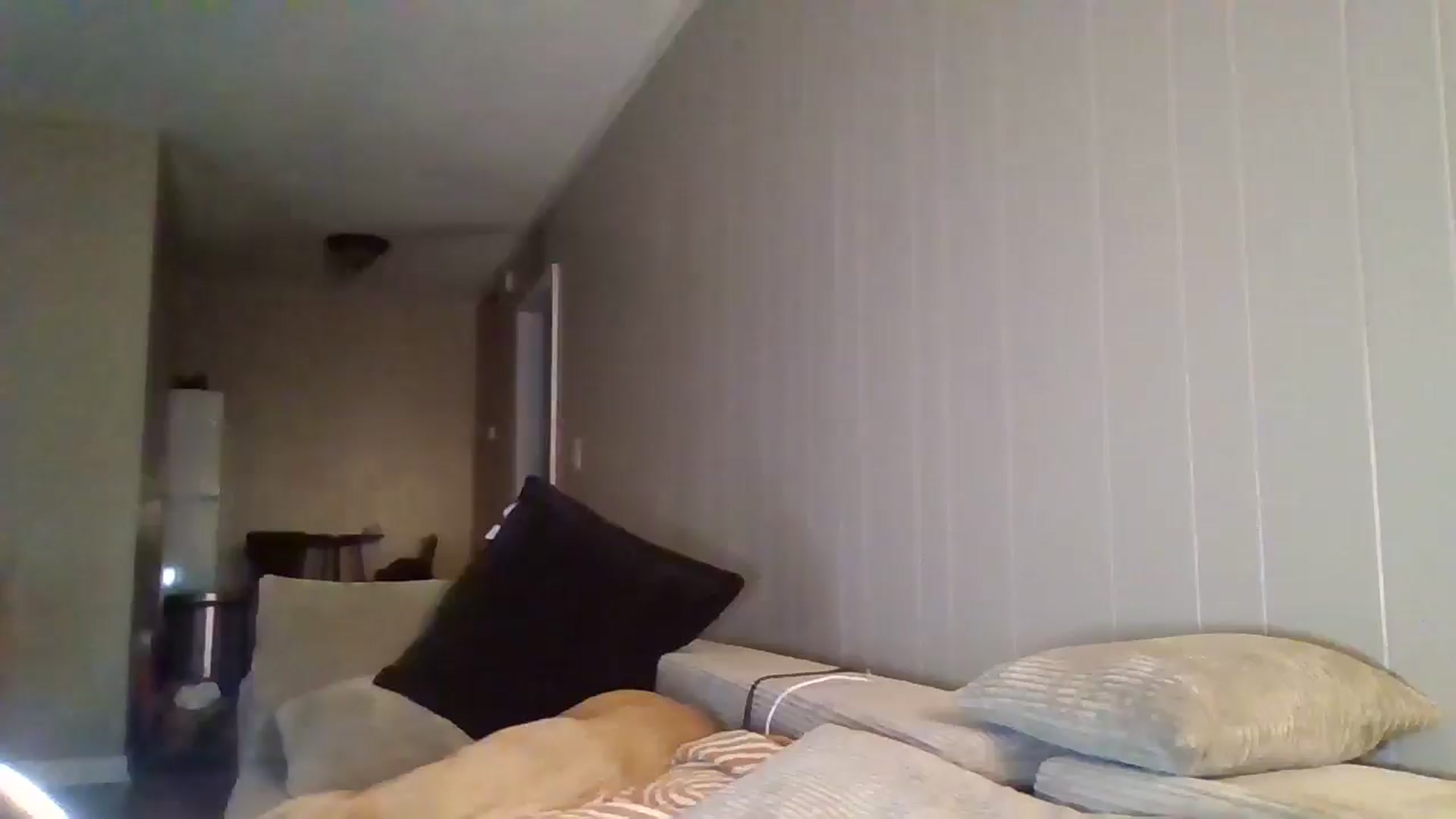 Gallery image thumbnail from Honeymuff0's myfreecams stream on, 08/23/2025, 12:23 image 1 of 20