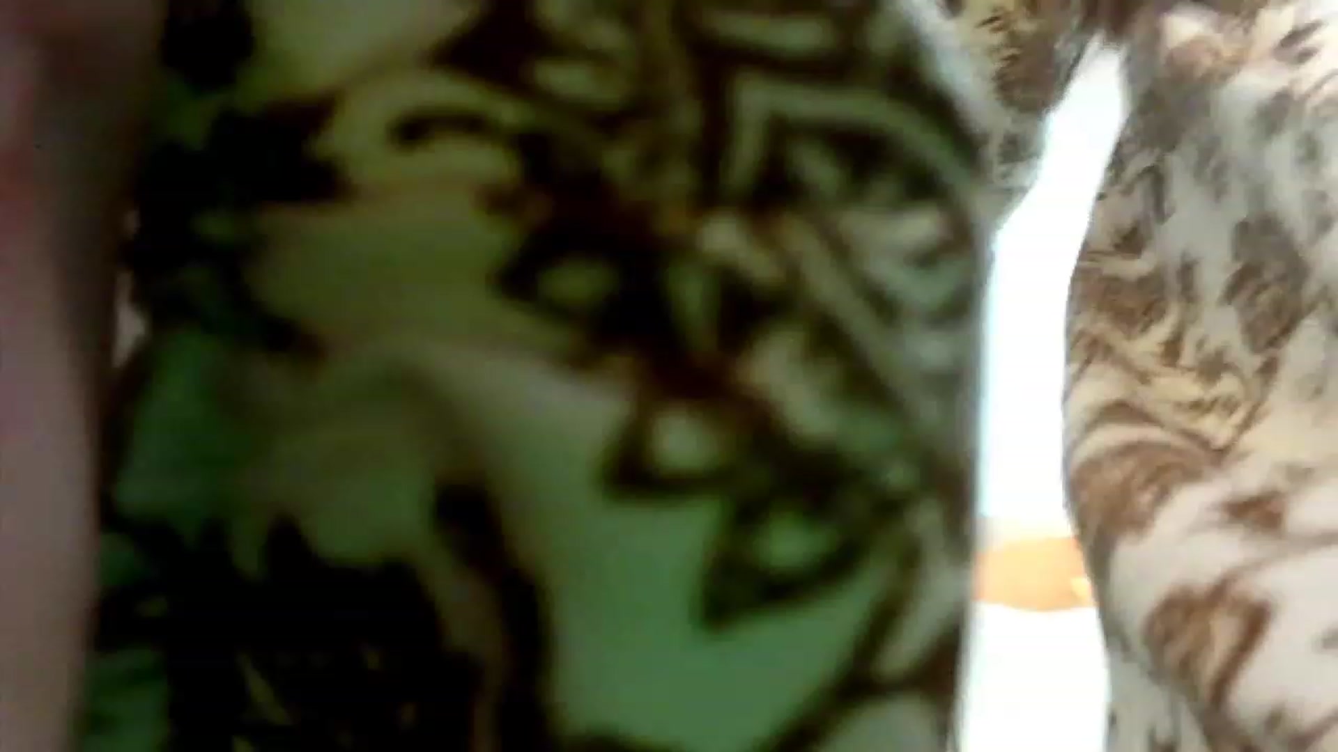 Gallery image thumbnail from HoneysRoom's myfreecams stream on, 11/26/2023, 04:33 image 19 of 20