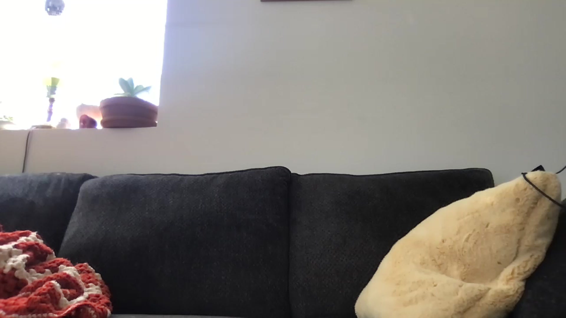 Gallery image thumbnail from Honeyshaker's myfreecams stream on, 03/14/2025, 18:15 image 10 of 20