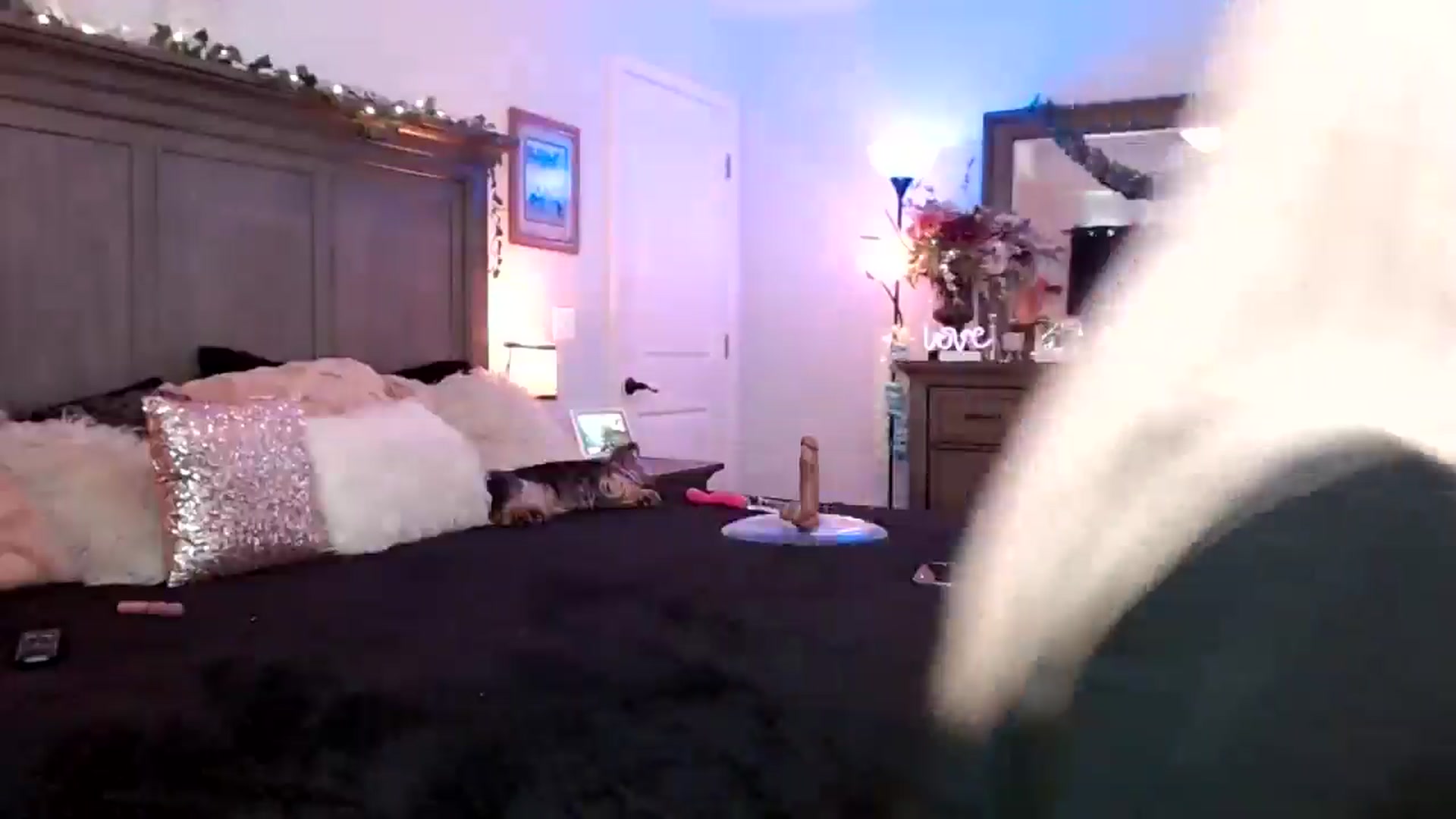 Gallery image thumbnail from HoochieCooch's myfreecams stream on, 09/30/2024, 18:25 image 20 of 20