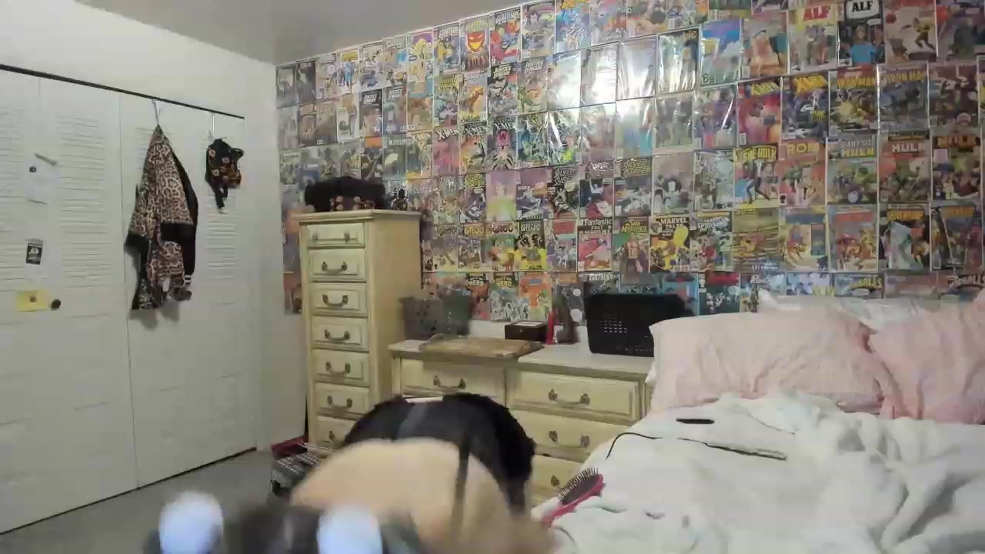 Gallery image thumbnail from Horizon_Blue's myfreecams stream on, 05/18/2023, 07:18 image 5 of 20