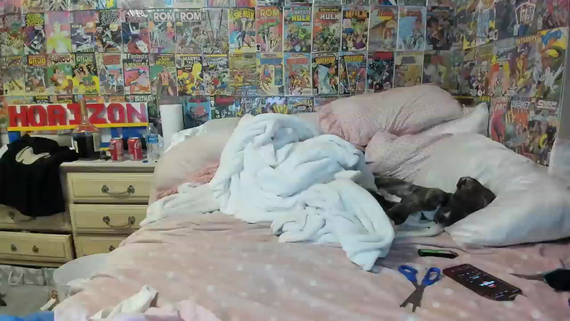 Gallery image thumbnail from Horizon_Blue's myfreecams stream on, 07/22/2023, 09:58 image 9 of 20