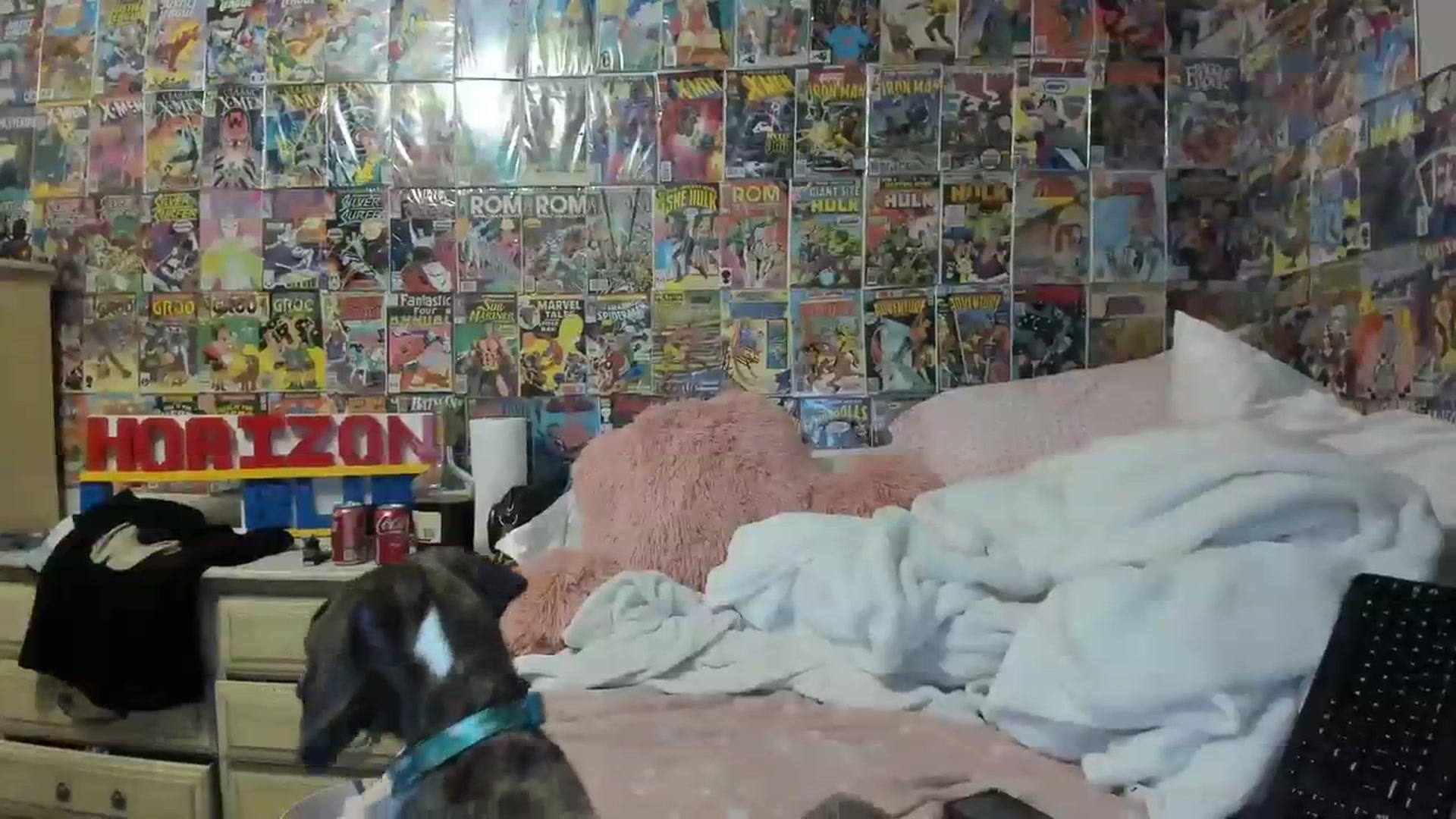 Gallery image thumbnail from Horizon_Blue's myfreecams stream on, 07/22/2023, 11:55 image 4 of 20