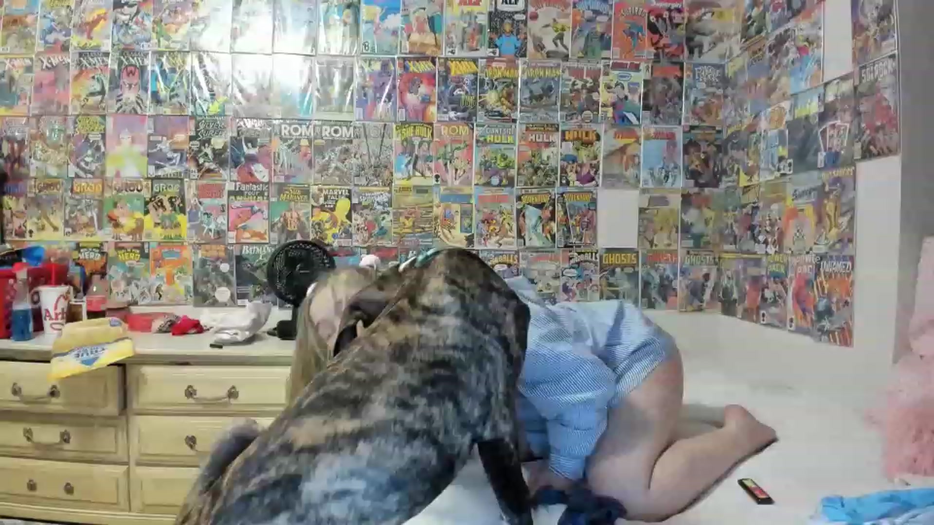 Gallery image thumbnail from Horizon_Blue's myfreecams stream on, 08/27/2023, 05:19 image 18 of 20