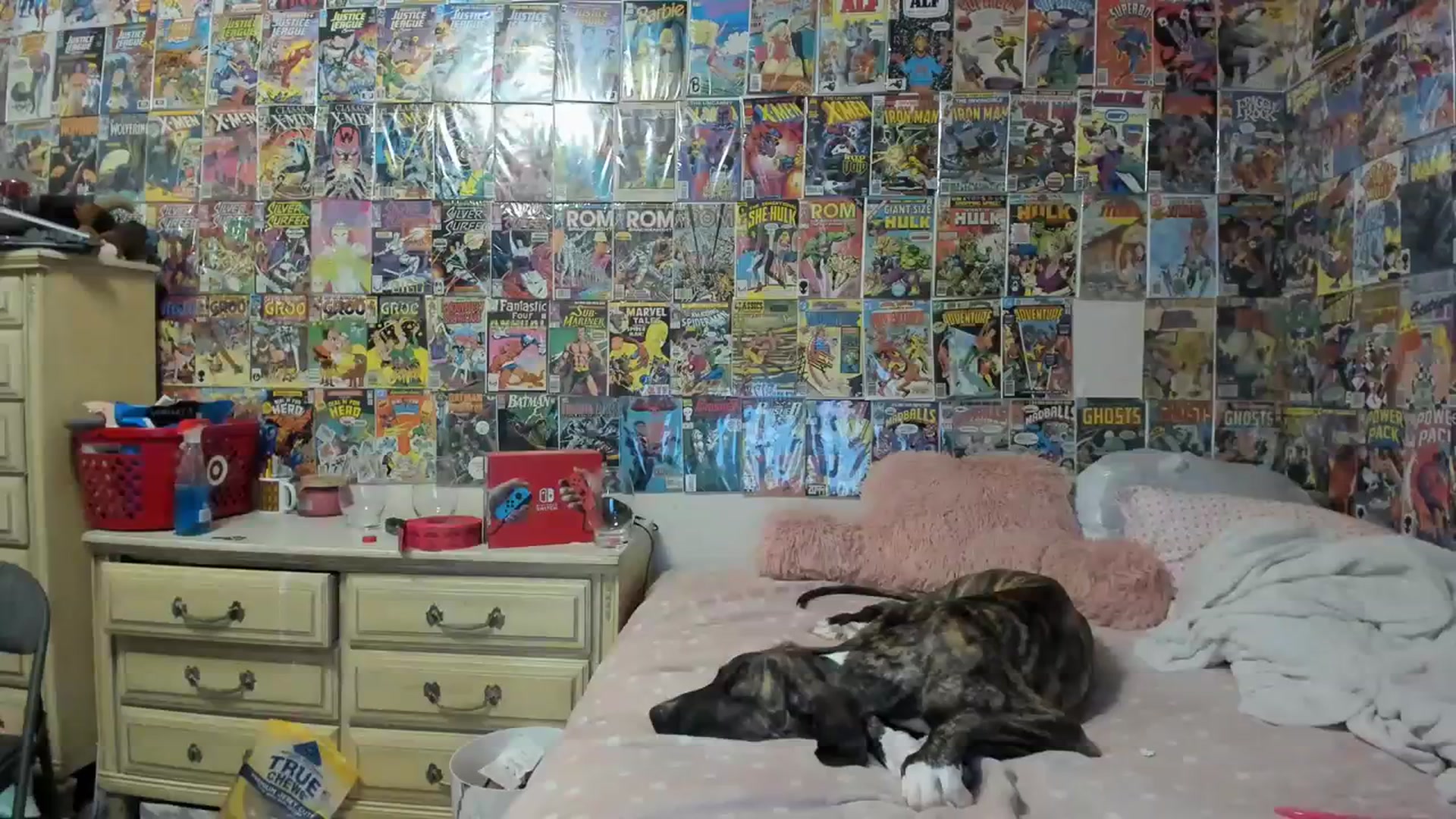 Gallery image thumbnail from Horizon_Blue's myfreecams stream on, 08/29/2023, 05:20 image 5 of 20