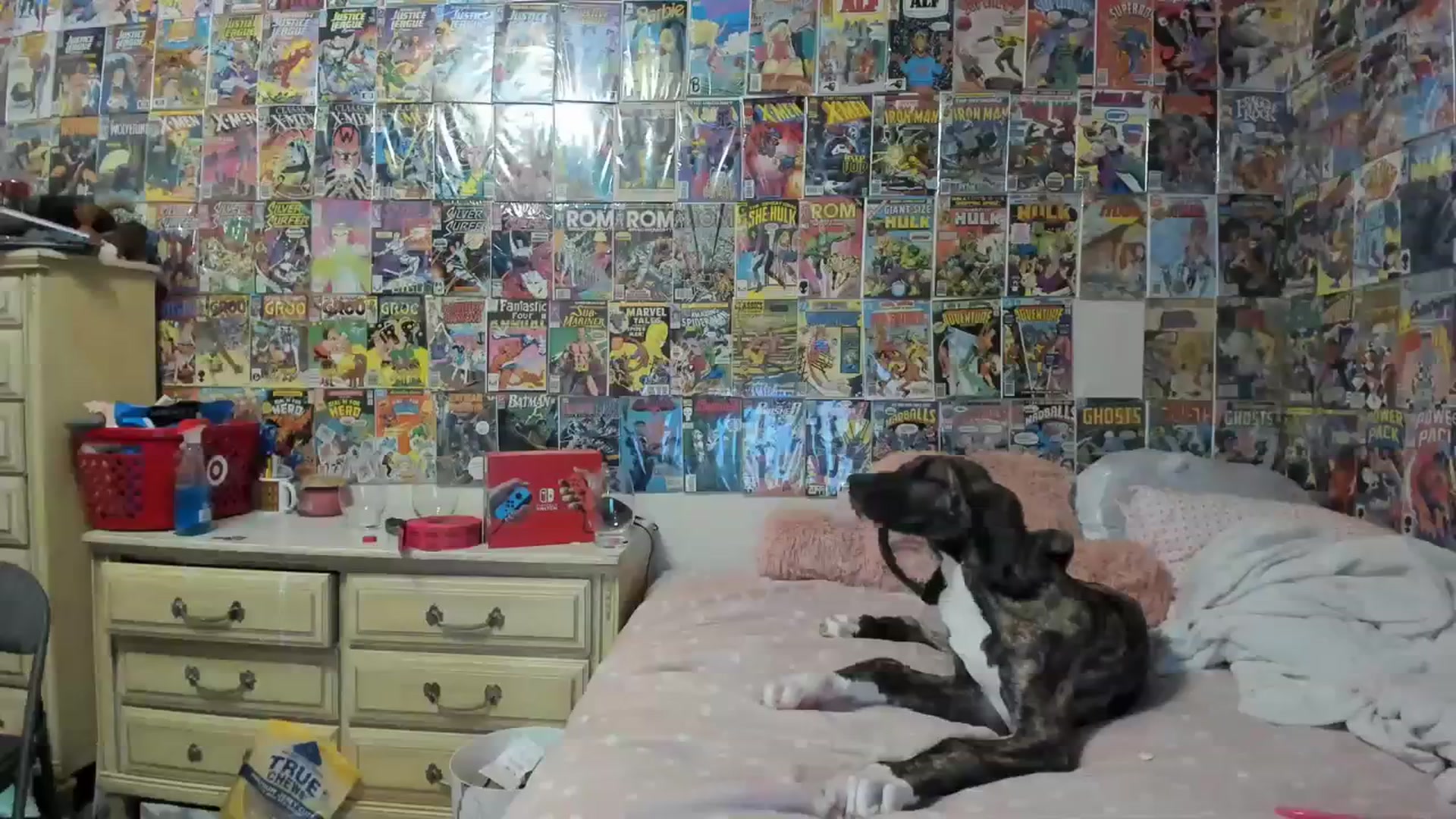 Gallery image thumbnail from Horizon_Blue's myfreecams stream on, 08/29/2023, 05:20 image 6 of 20