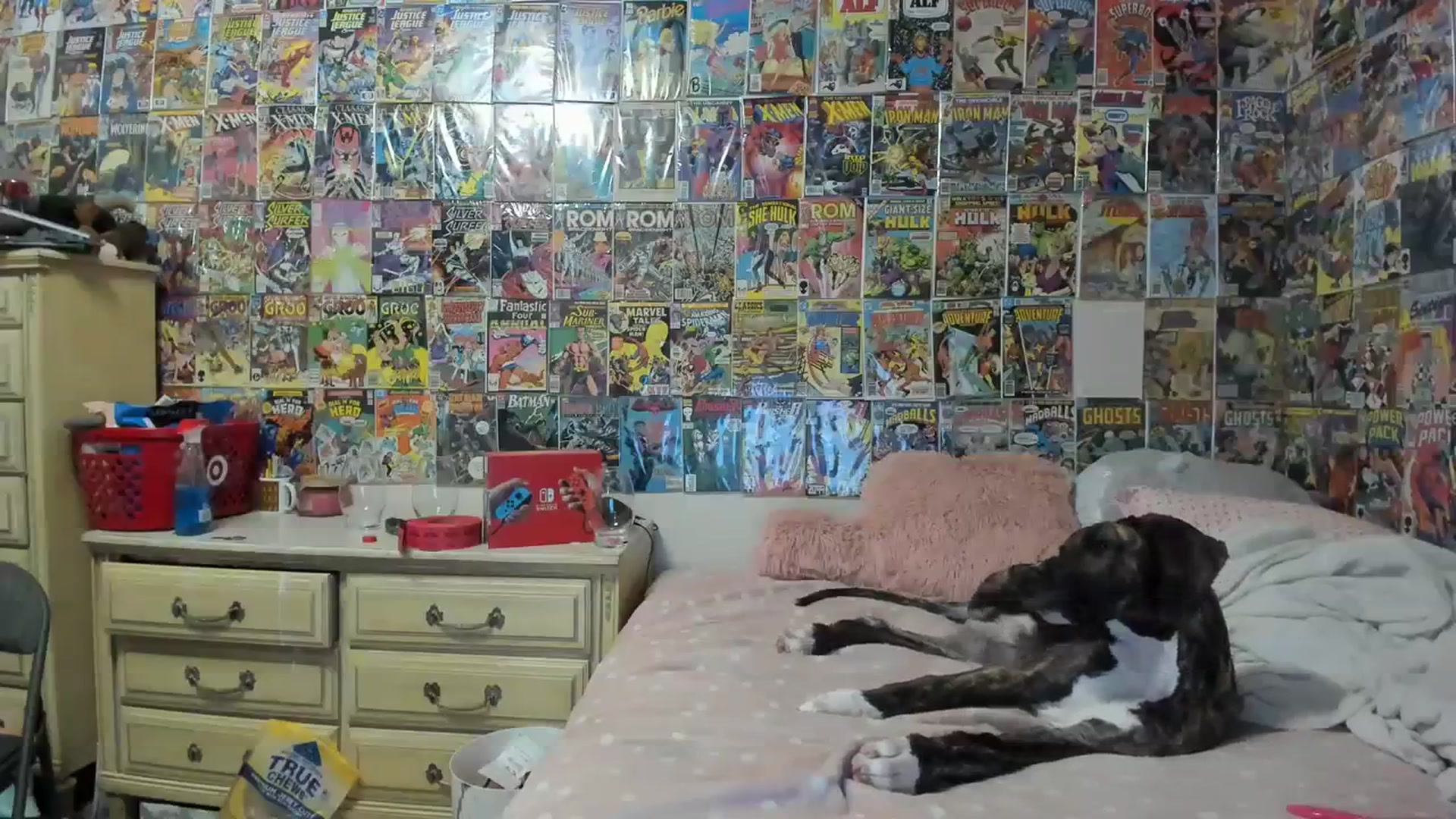 Gallery image thumbnail from Horizon_Blue's myfreecams stream on, 08/29/2023, 05:20 image 7 of 20