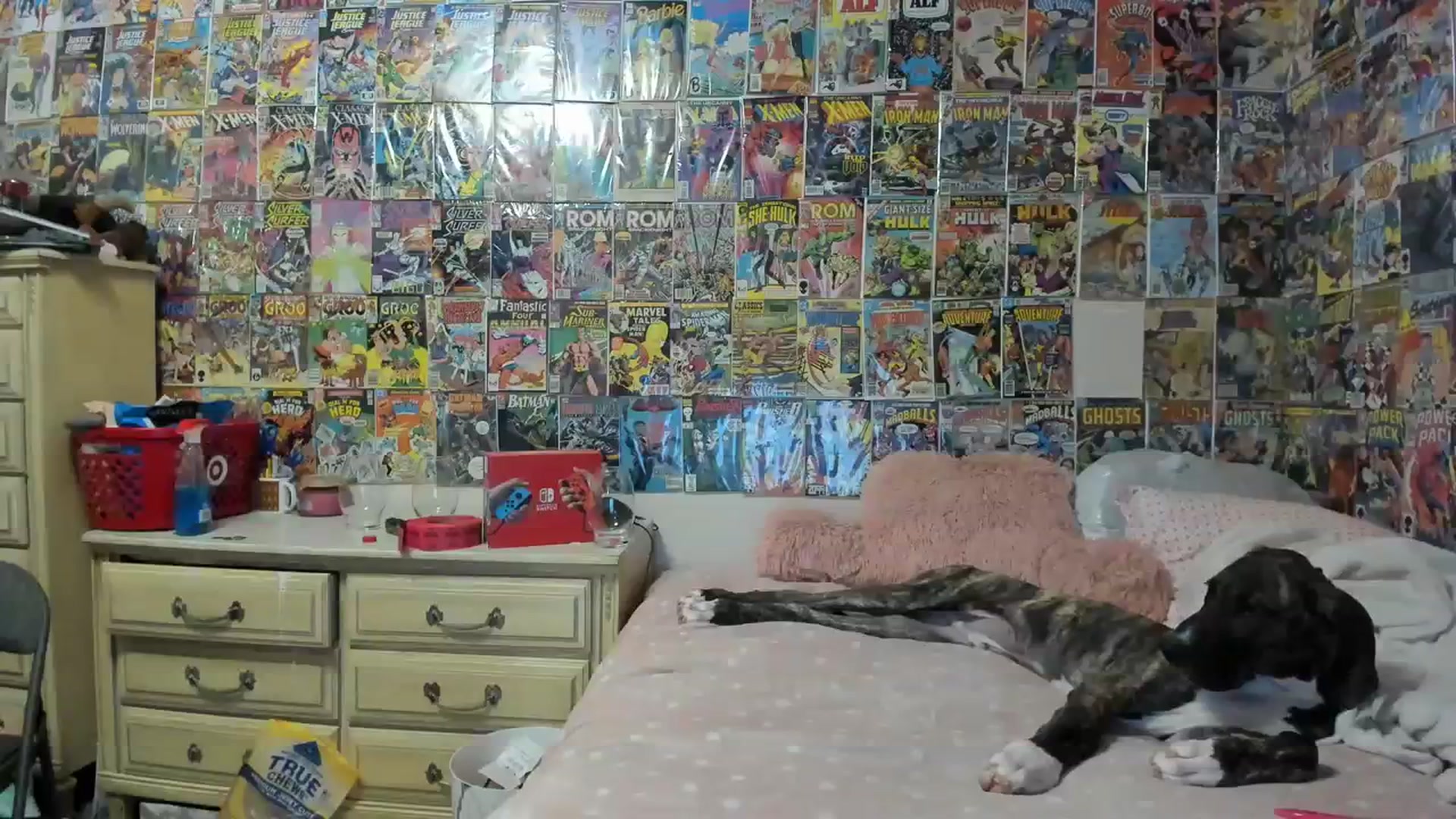 Gallery image thumbnail from Horizon_Blue's myfreecams stream on, 08/29/2023, 05:20 image 4 of 20