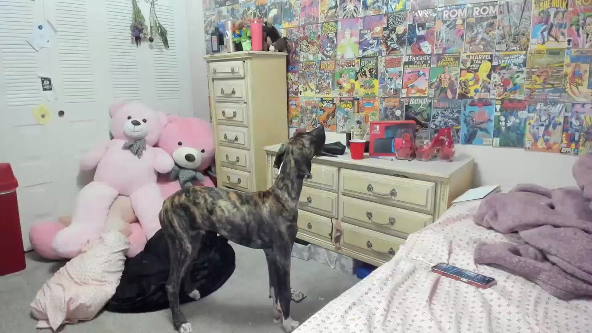 Gallery image thumbnail from Horizon_Blue's myfreecams stream on, 09/18/2023, 07:33 image 1 of 20