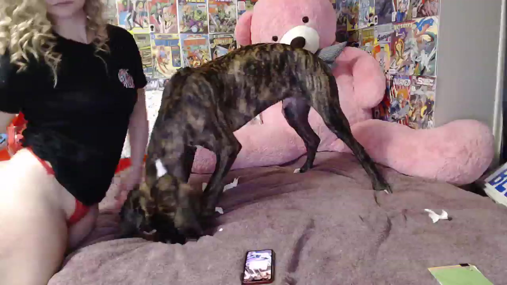 Gallery image thumbnail from Horizon_Blue's myfreecams stream on, 09/27/2023, 10:56 image 12 of 20