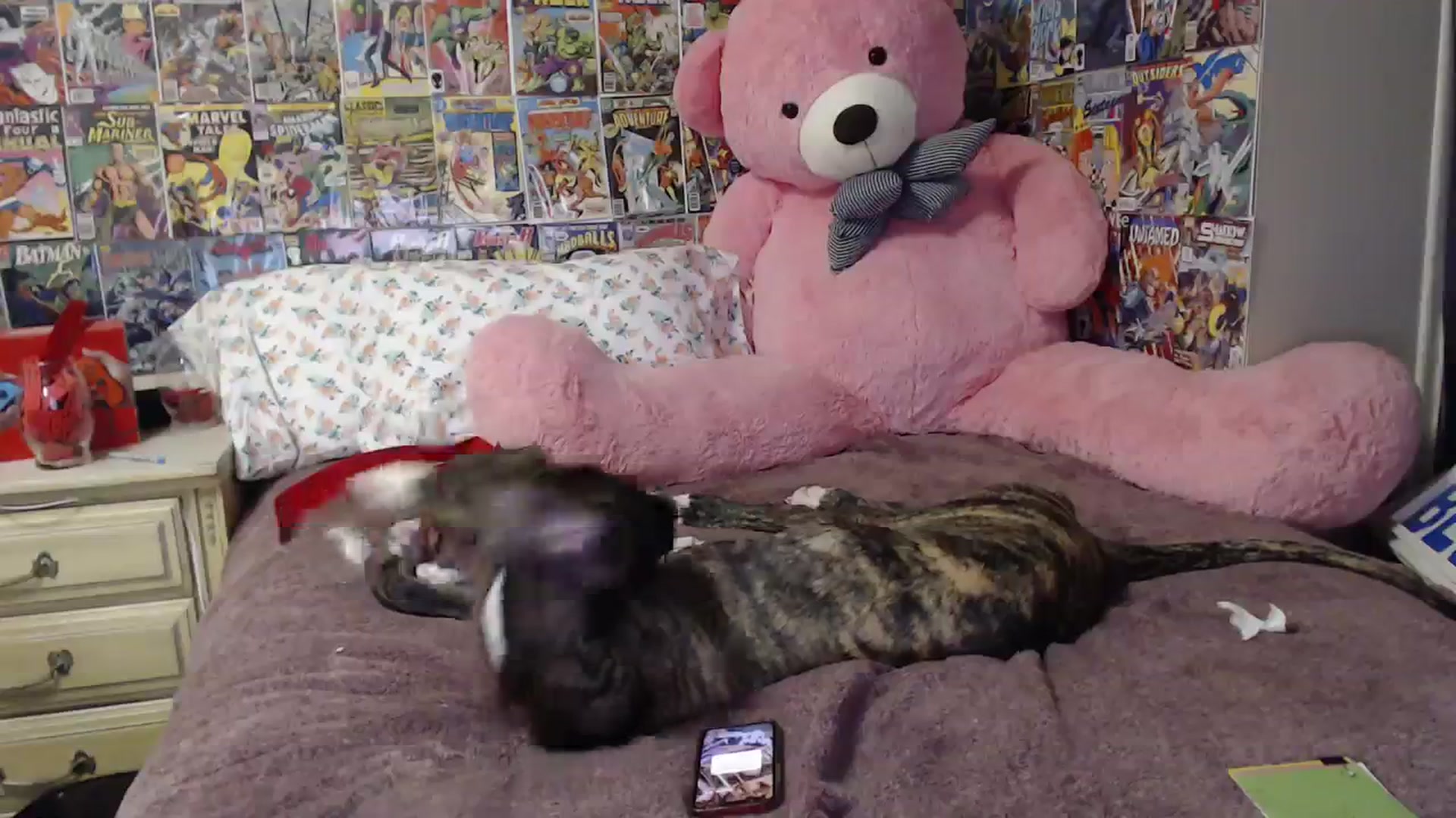 Gallery image thumbnail from Horizon_Blue's myfreecams stream on, 09/27/2023, 10:56 image 13 of 20