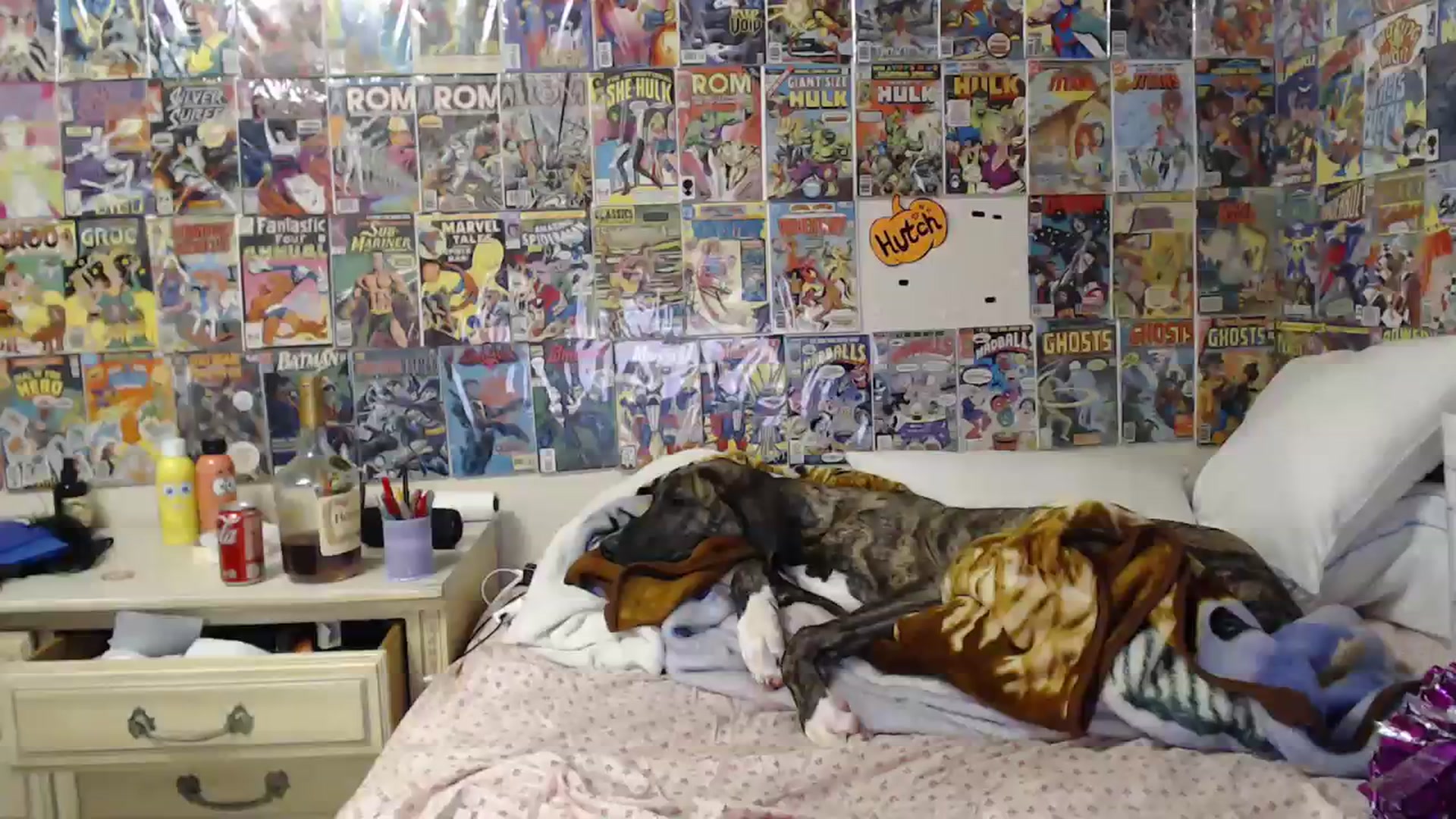 Gallery image thumbnail from Horizon_Blue's myfreecams stream on, 10/09/2023, 01:13 image 15 of 20