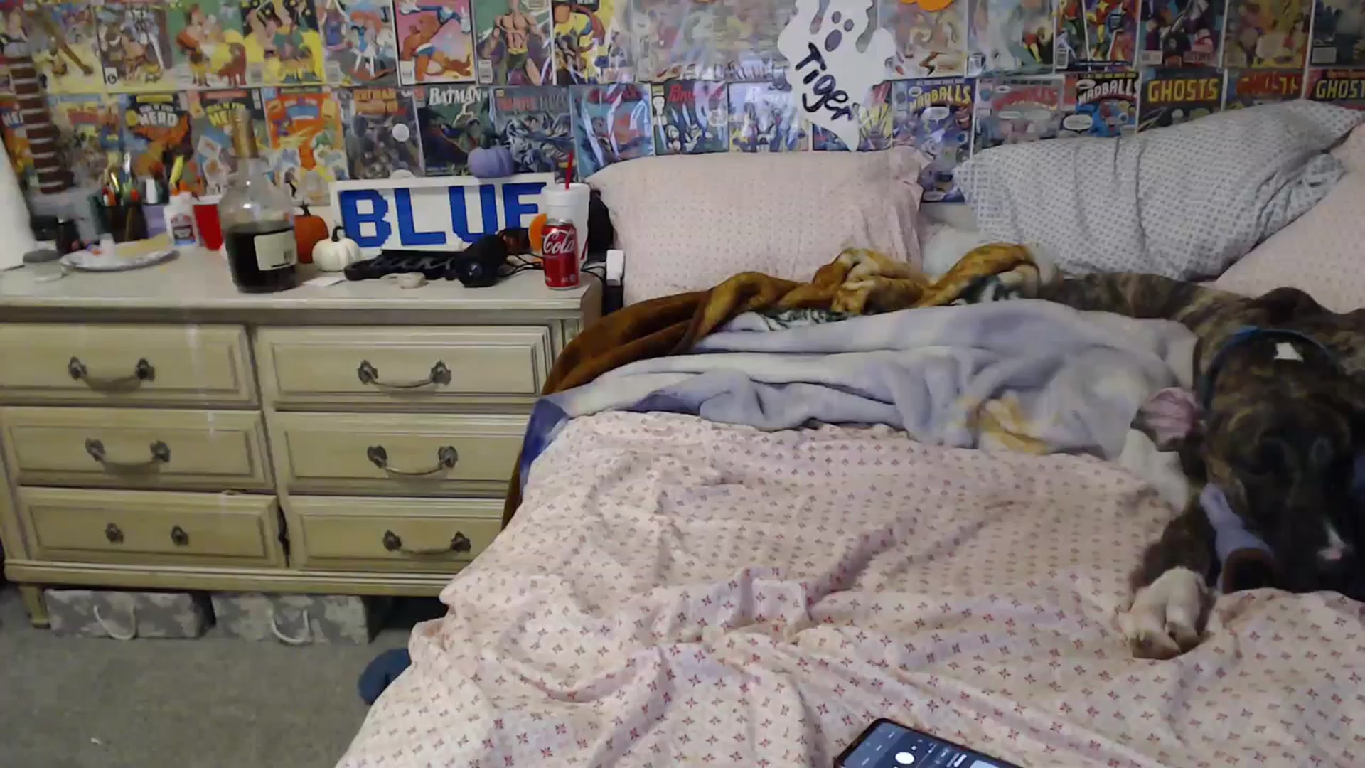 Gallery image thumbnail from Horizon_Blue's myfreecams stream on, 10/17/2023, 05:58 image 7 of 20