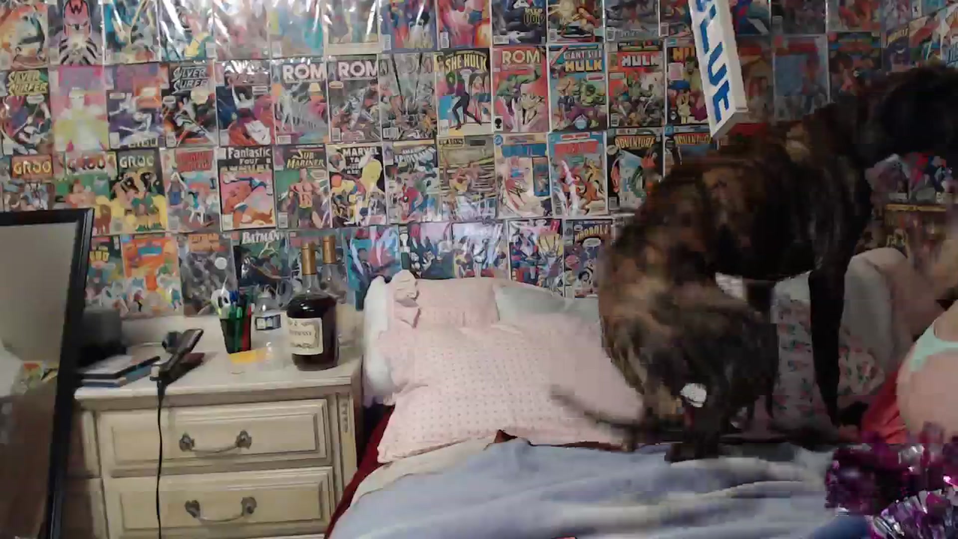 Gallery image thumbnail from Horizon_Blue's myfreecams stream on, 11/10/2023, 03:00 image 14 of 20
