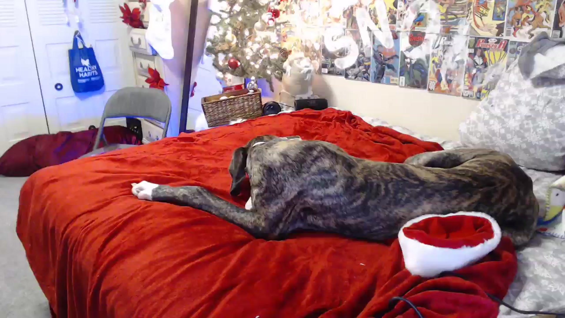 Gallery image thumbnail from Horizon_Blue's myfreecams stream on, 12/08/2023, 08:18 image 16 of 20