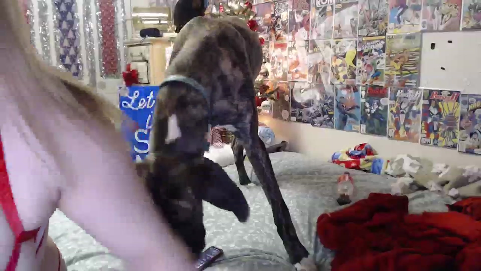 Gallery image thumbnail from Horizon_Blue's myfreecams stream on, 12/15/2023, 05:23 image 16 of 20