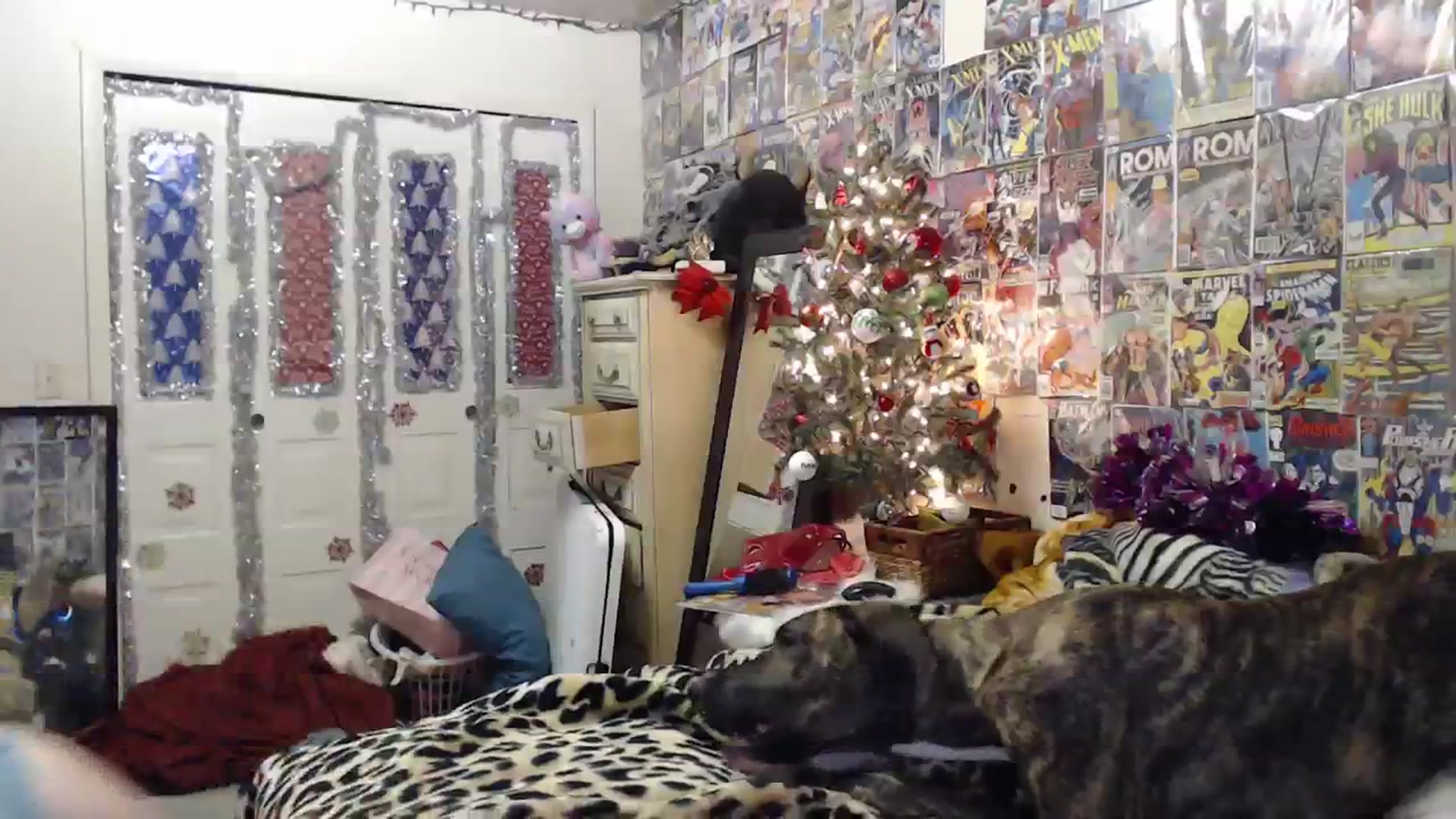 Gallery image thumbnail from Horizon_Blue's myfreecams stream on, 01/12/2024, 05:41 image 20 of 20