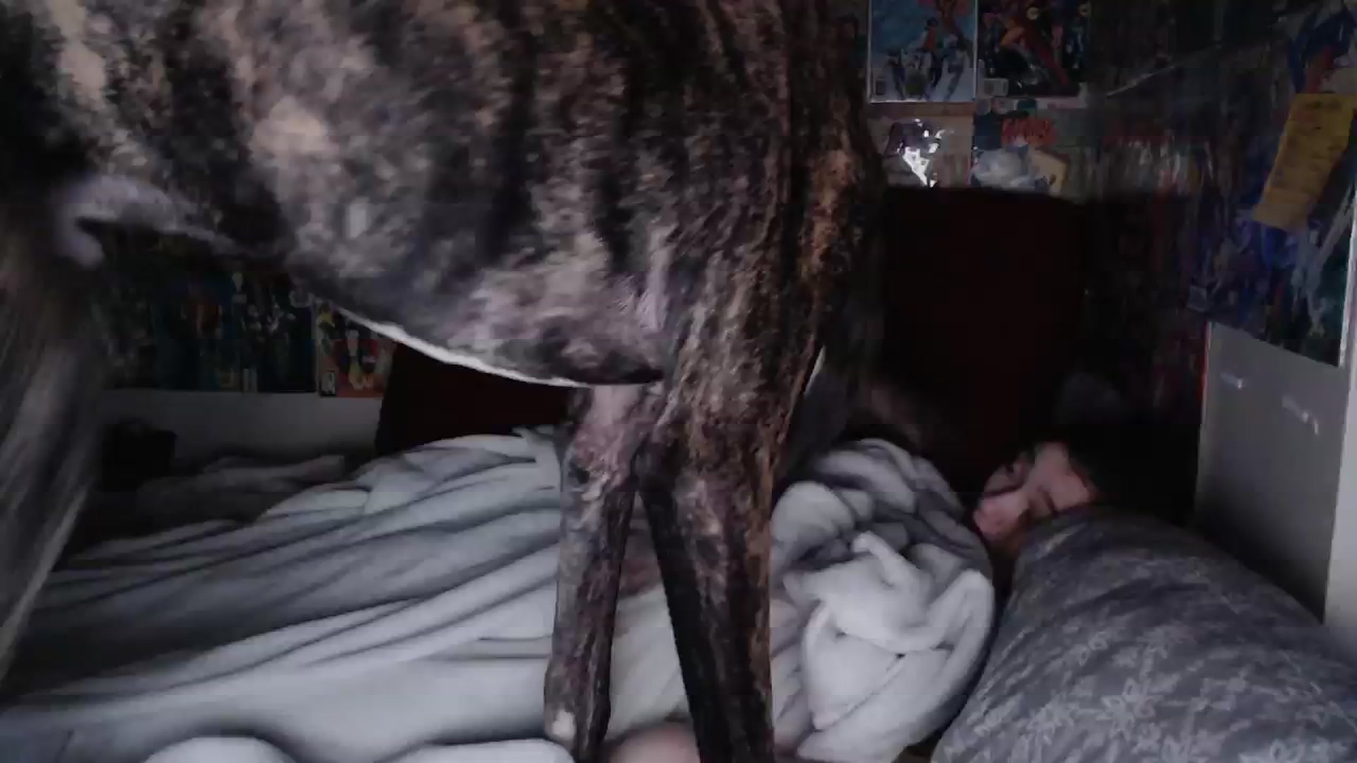 Gallery image thumbnail from Horizon_Blue's myfreecams stream on, 01/24/2024, 07:56 image 20 of 20