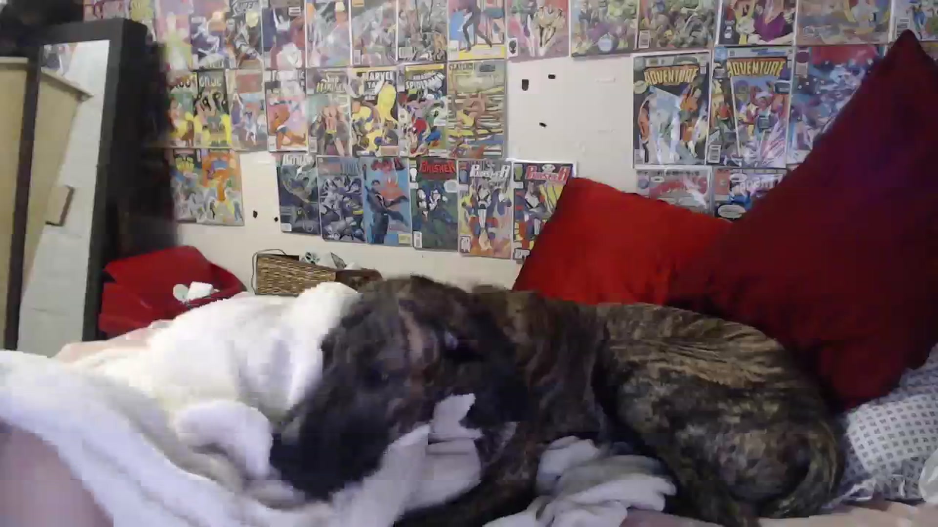 Gallery image thumbnail from Horizon_Blue's myfreecams stream on, 01/24/2024, 07:56 image 18 of 20