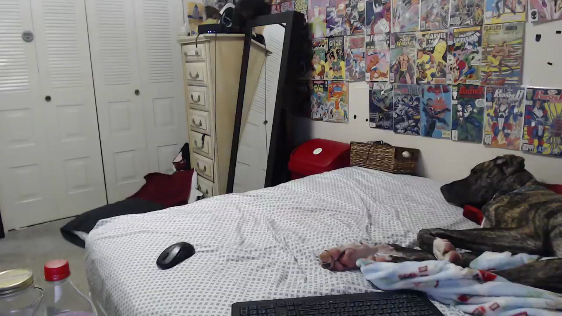 Gallery image thumbnail from Horizon_Blue's myfreecams stream on, 01/31/2024, 05:05 image 4 of 20