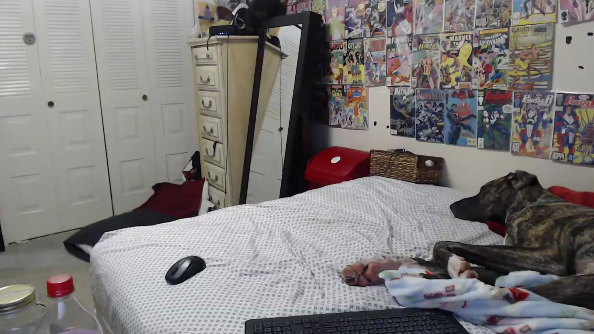 Gallery image thumbnail from Horizon_Blue's myfreecams stream on, 01/31/2024, 05:05 image 5 of 20