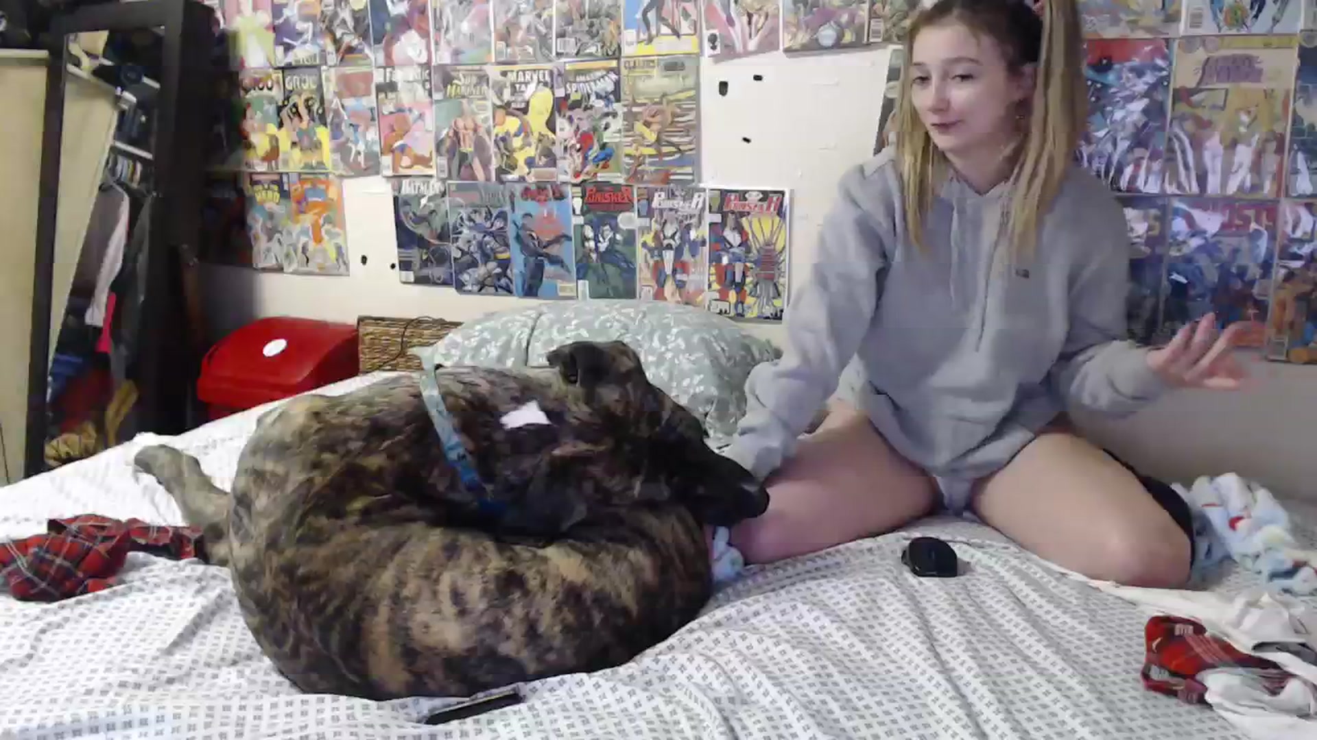 Gallery image thumbnail from Horizon_Blue's myfreecams stream on, 01/31/2024, 07:25 image 16 of 20