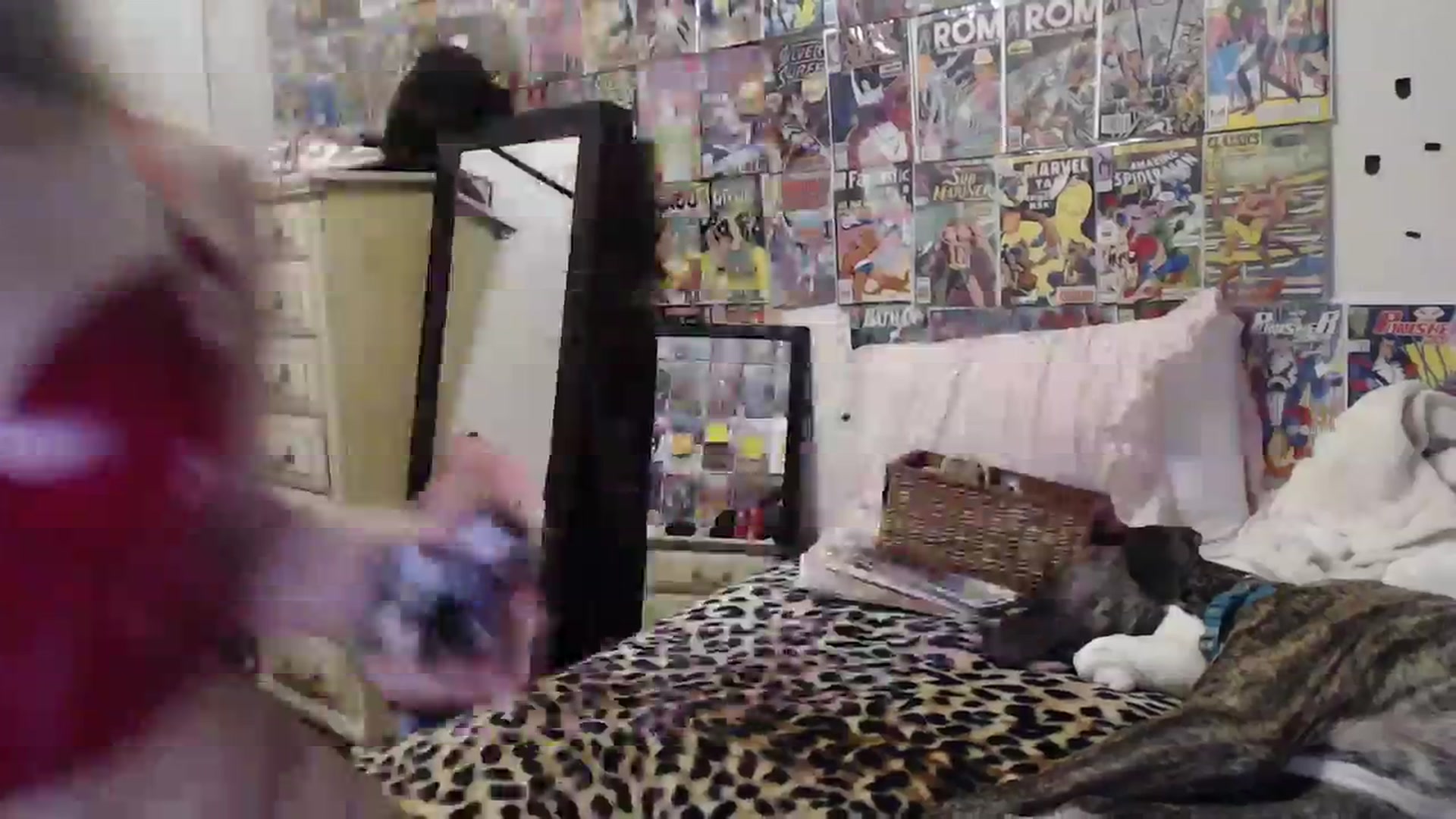 Gallery image thumbnail from Horizon_Blue's myfreecams stream on, 02/10/2024, 04:01 image 5 of 20