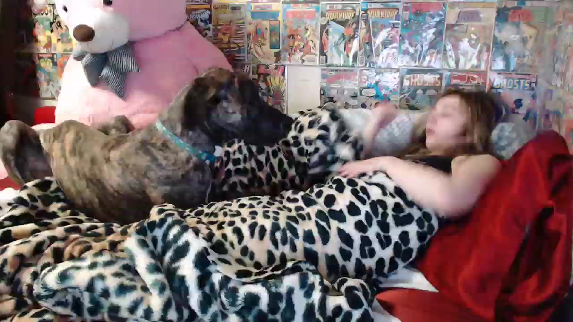 Gallery image thumbnail from Horizon_Blue's myfreecams stream on, 02/13/2024, 07:53 image 6 of 20