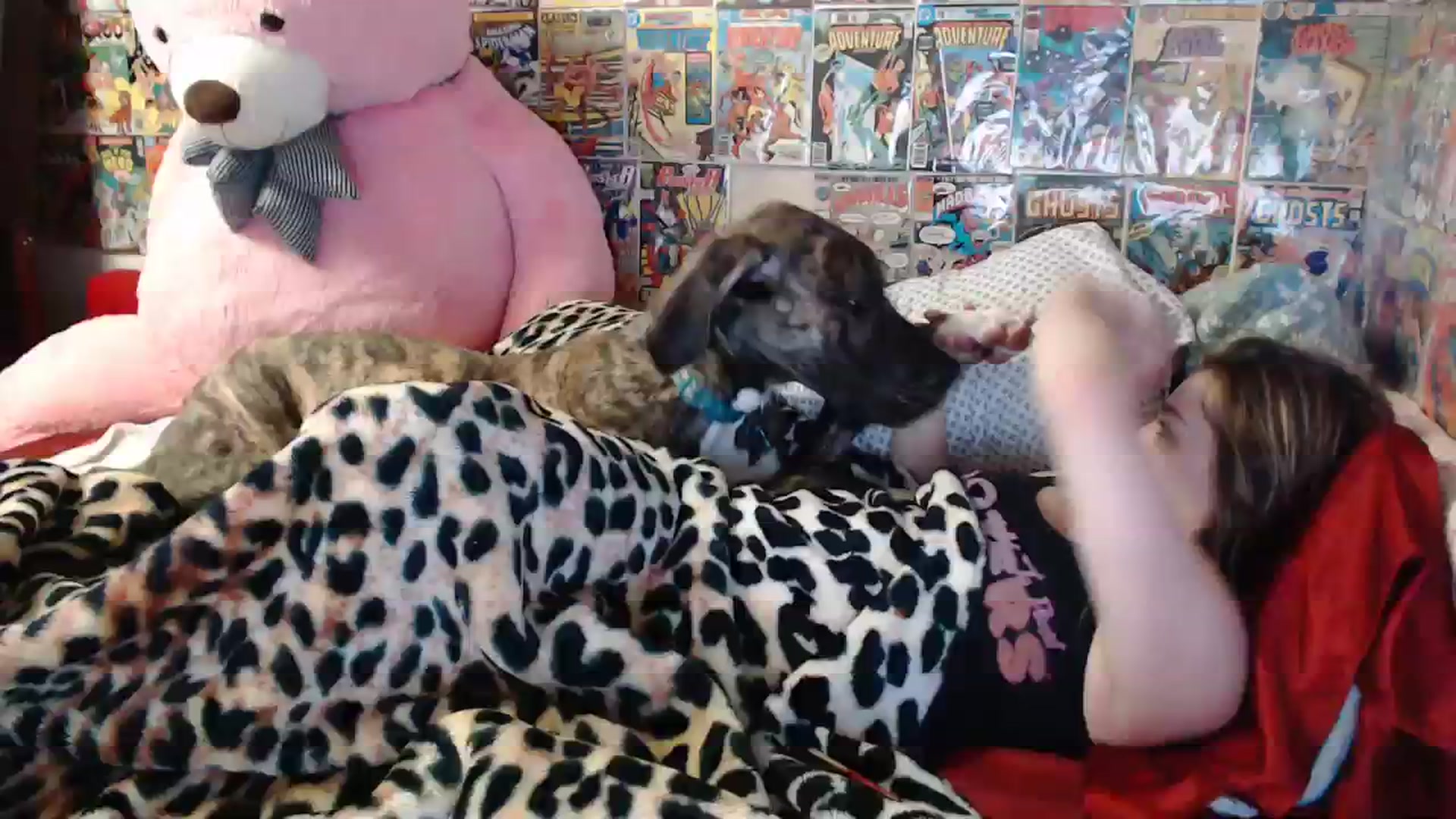 Gallery image thumbnail from Horizon_Blue's myfreecams stream on, 02/13/2024, 07:53 image 8 of 20