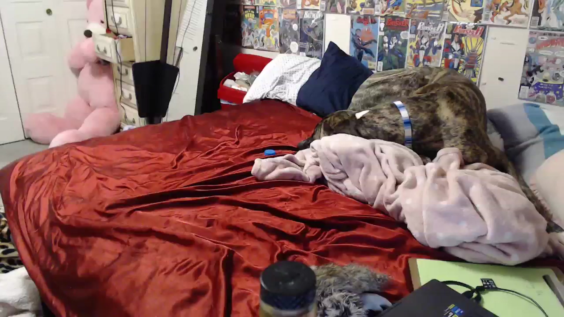 Gallery image thumbnail from Horizon_Blue's myfreecams stream on, 02/24/2024, 11:15 image 10 of 20