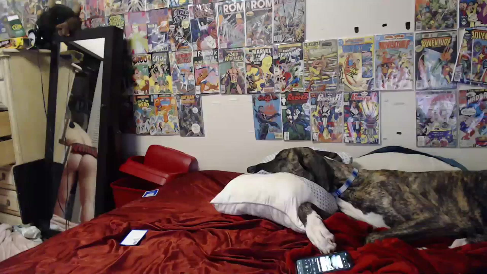 Gallery image thumbnail from Horizon_Blue's myfreecams stream on, 02/28/2024, 04:10 image 7 of 20