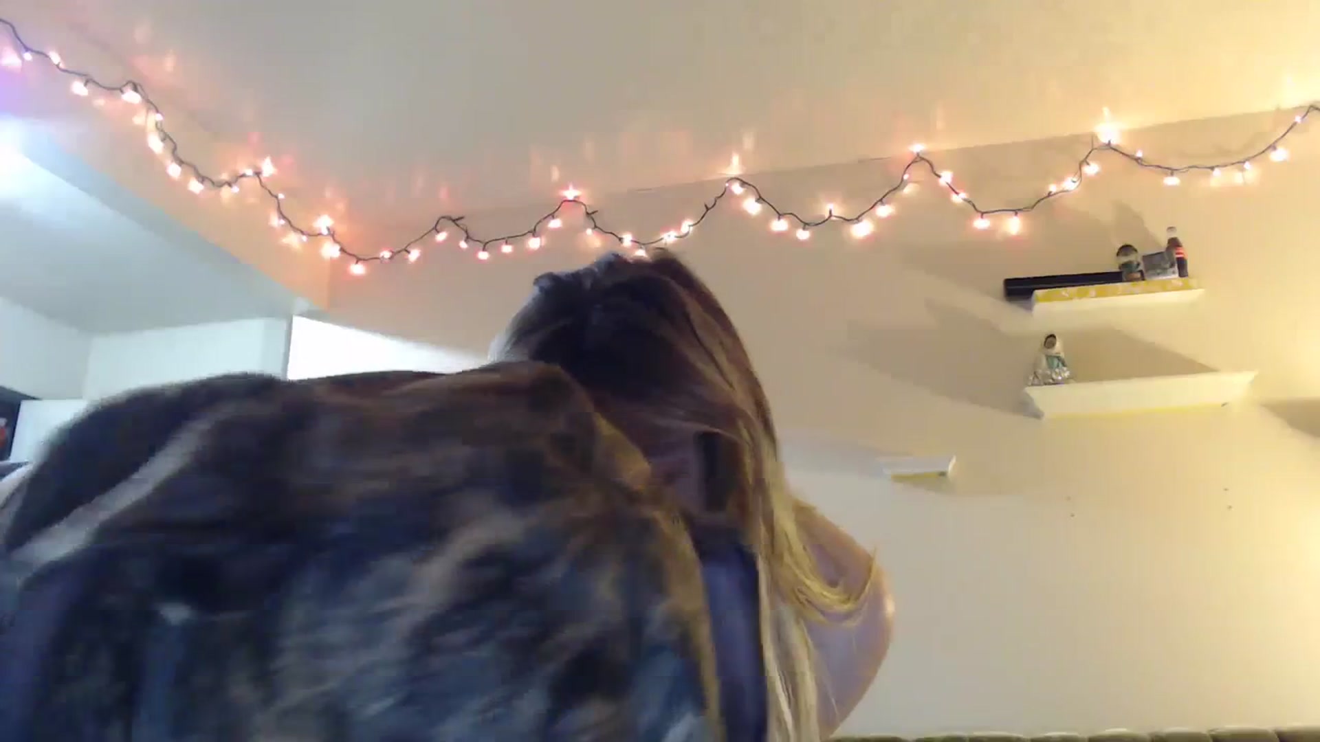 Gallery image thumbnail from Horizon_Blue's myfreecams stream on, 03/18/2024, 05:54 image 10 of 20