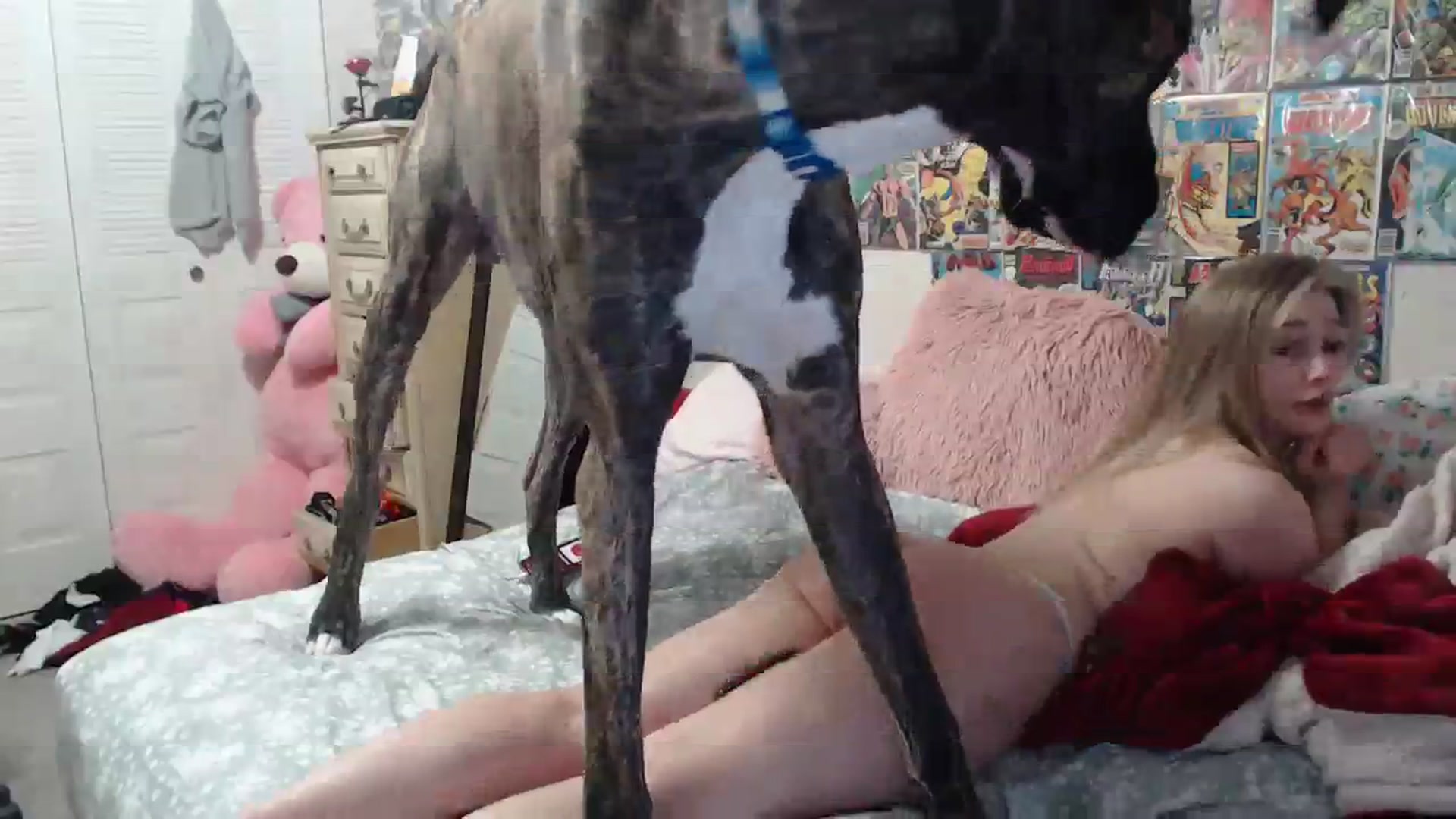 Gallery image thumbnail from Horizon_Blue's myfreecams stream on, 04/09/2024, 12:26 image 4 of 20