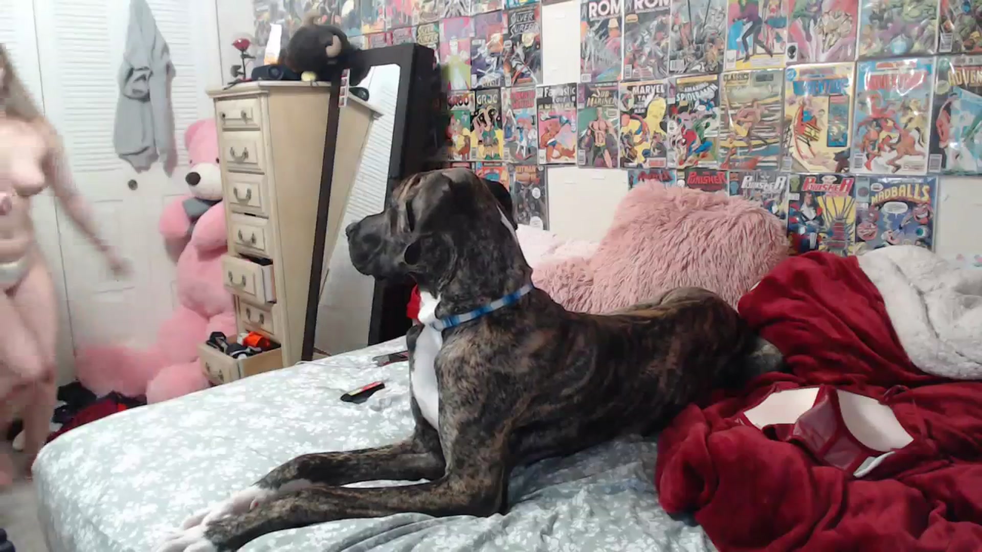 Gallery image thumbnail from Horizon_Blue's myfreecams stream on, 04/09/2024, 12:26 image 3 of 20