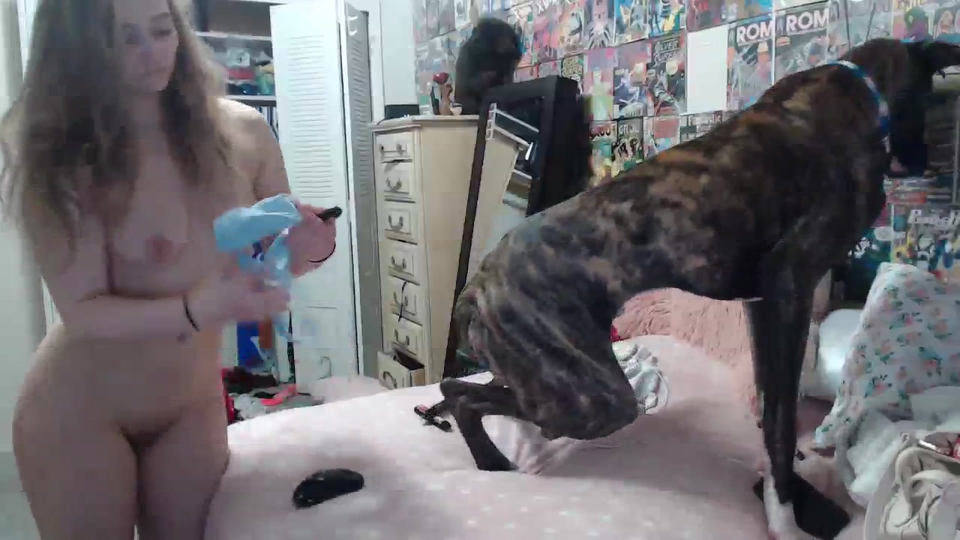 Gallery image thumbnail from Horizon_Blue's myfreecams stream on, 04/13/2024, 20:16 image 20 of 20