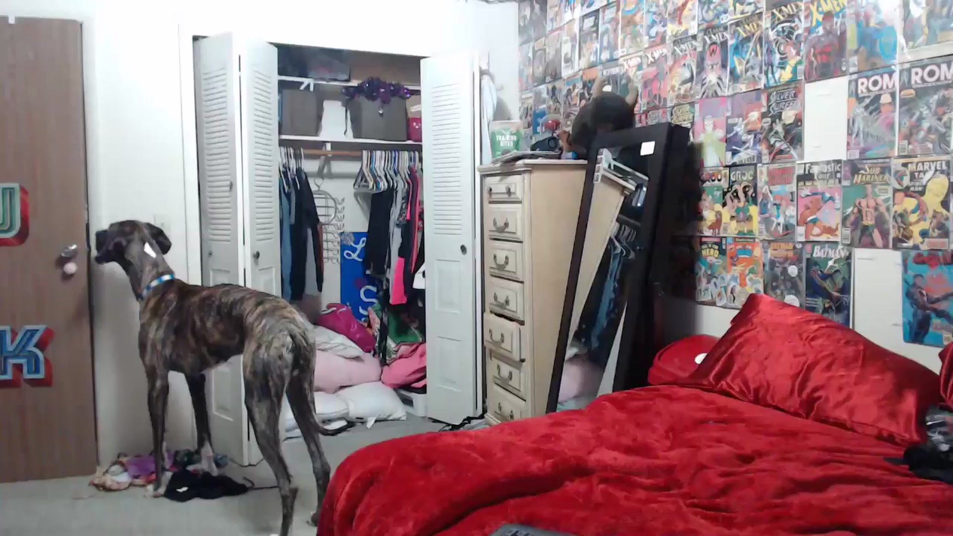 Gallery image thumbnail from Horizon_Blue's myfreecams stream on, 04/20/2024, 10:22 image 20 of 20