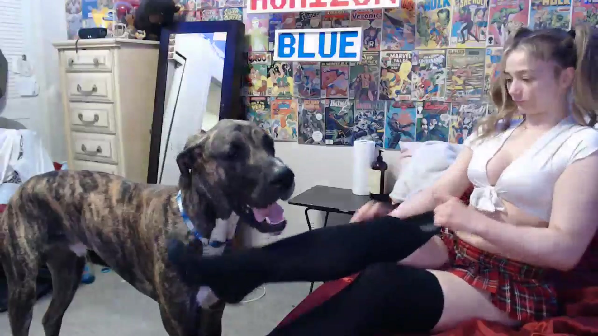 Gallery image thumbnail from Horizon_Blue's myfreecams stream on, 05/07/2024, 02:33 image 5 of 20