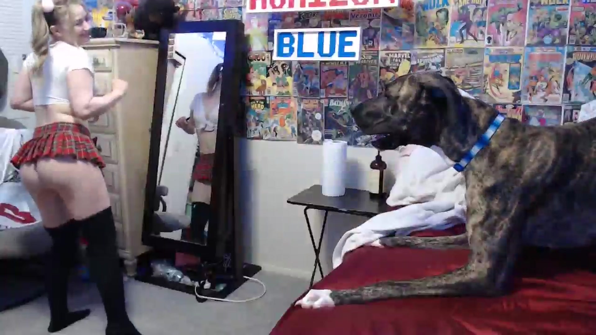 Gallery image thumbnail from Horizon_Blue's myfreecams stream on, 05/07/2024, 02:33 image 10 of 20