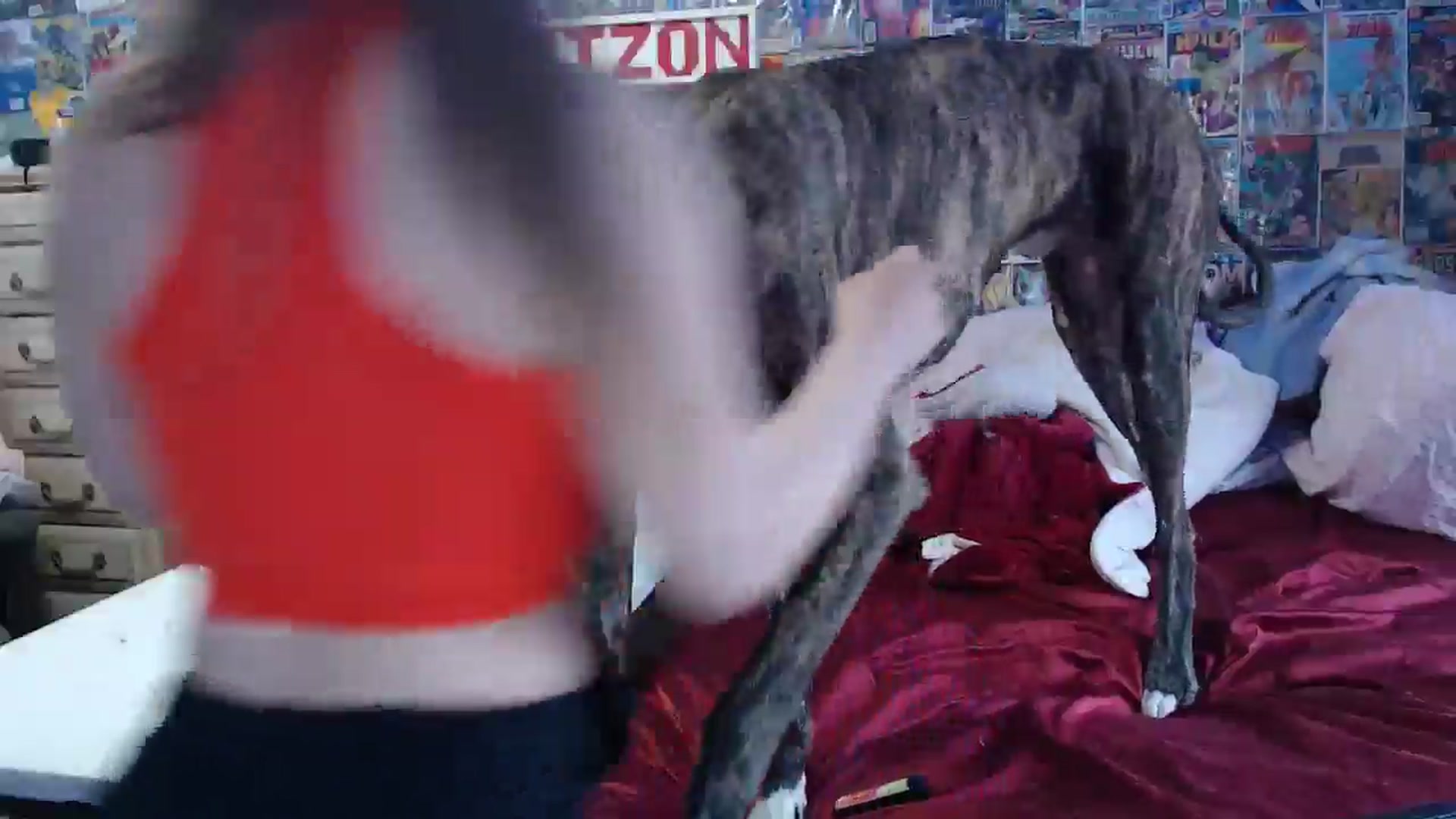 Gallery image thumbnail from Horizon_Blue's myfreecams stream on, 05/09/2024, 15:15 image 7 of 20